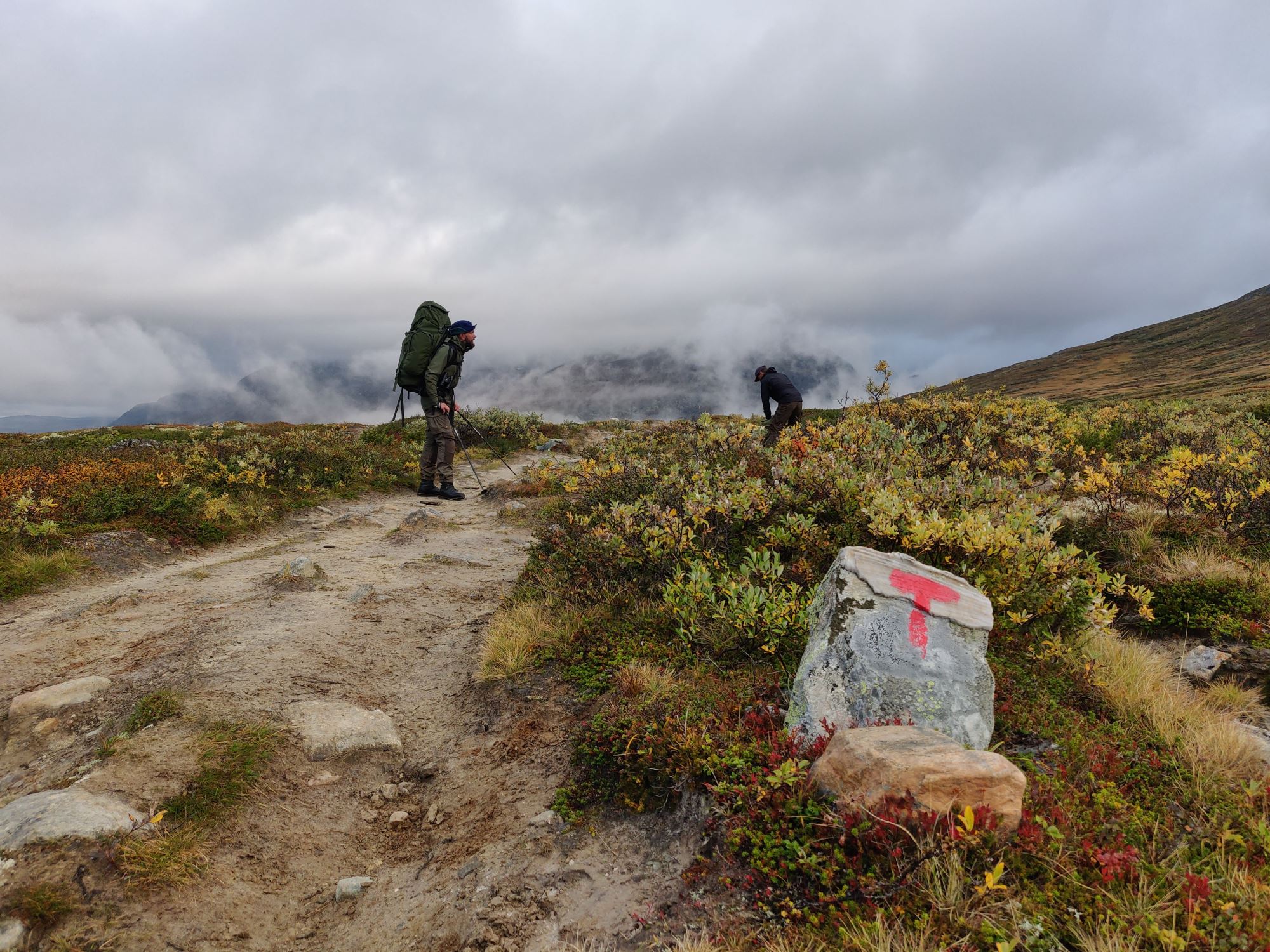 Moskussafari med personlig guide