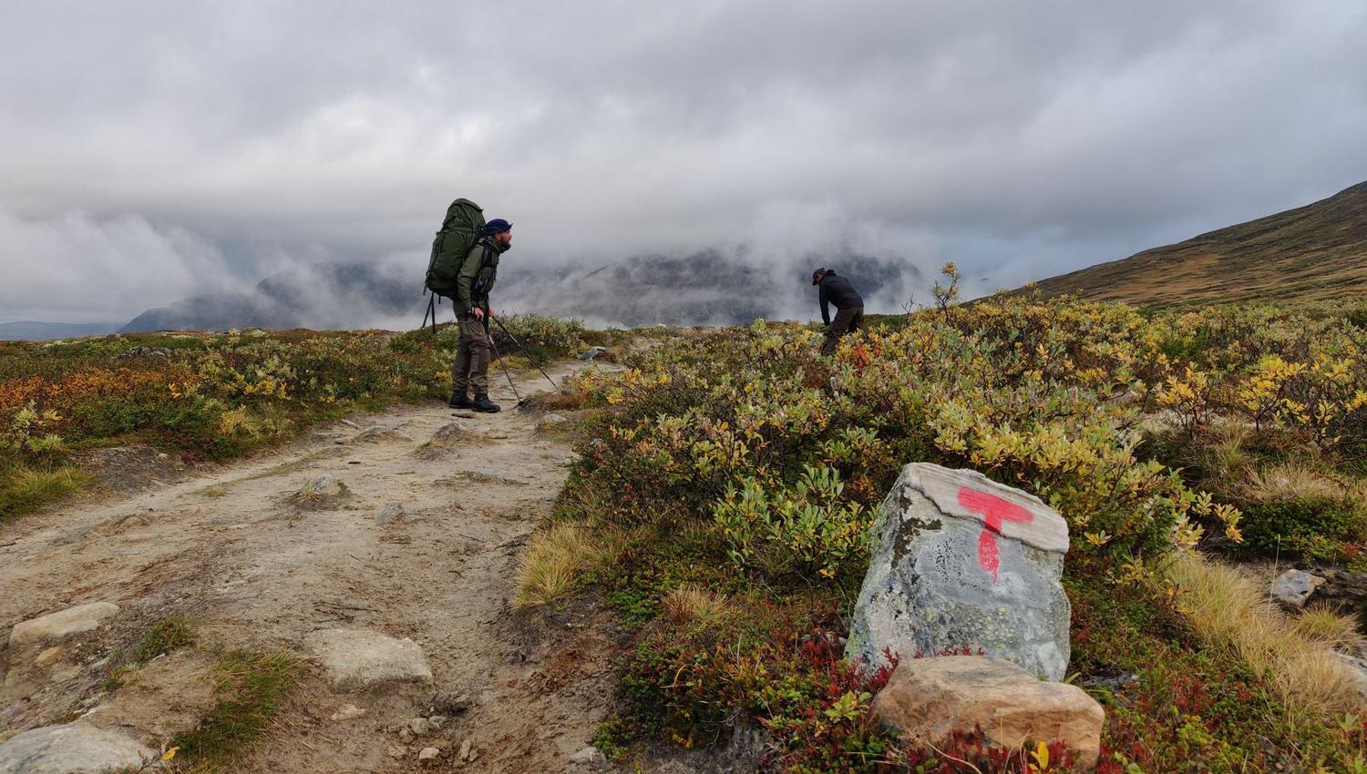 Moskussafari med personlig guide