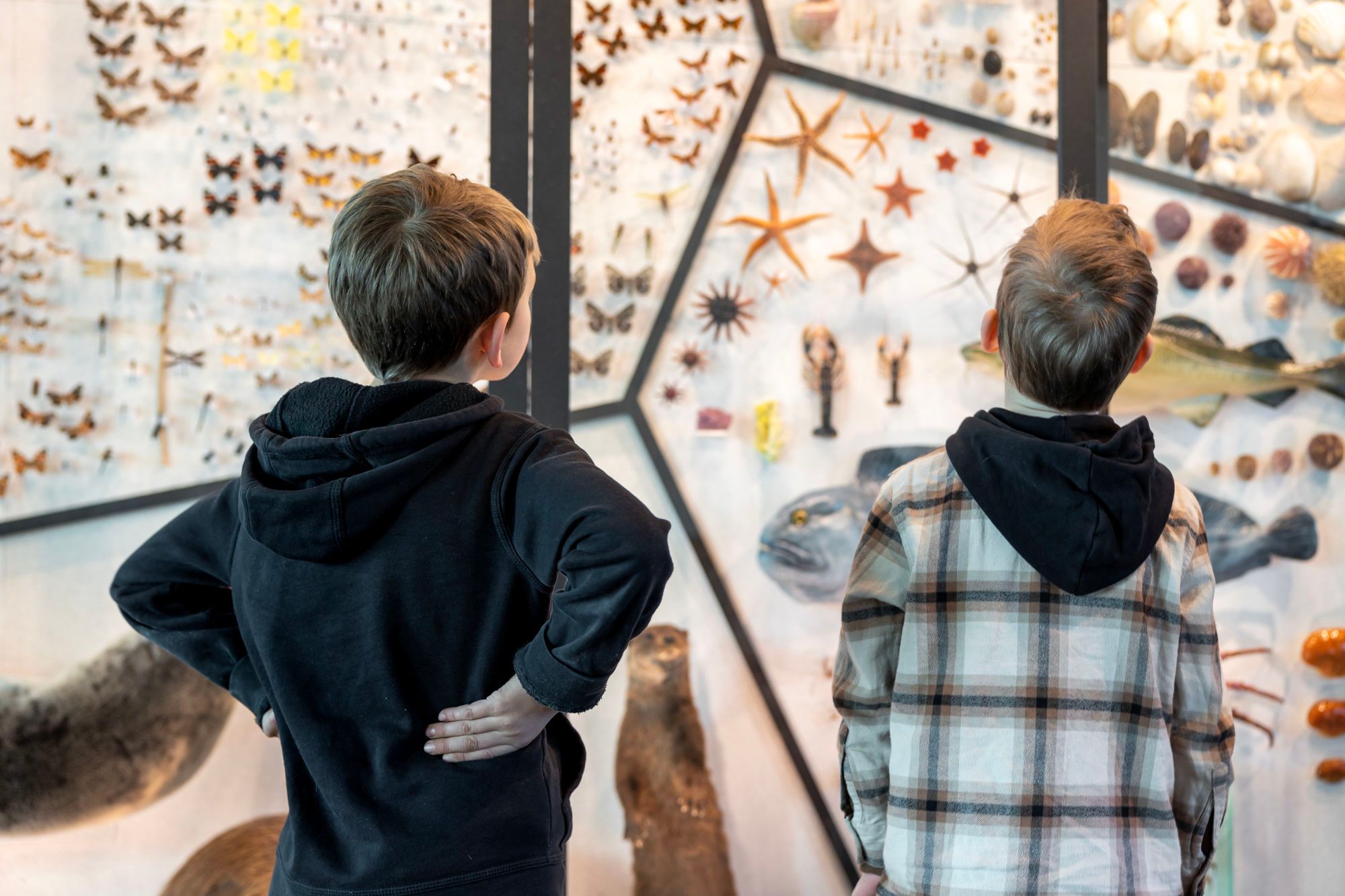 Stavanger museum