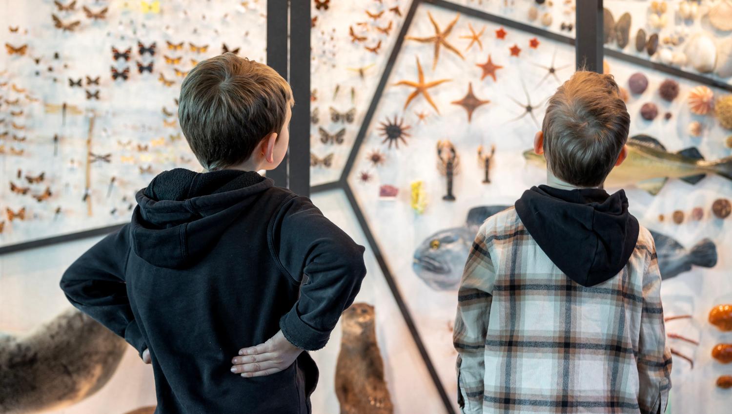 Stavanger museum