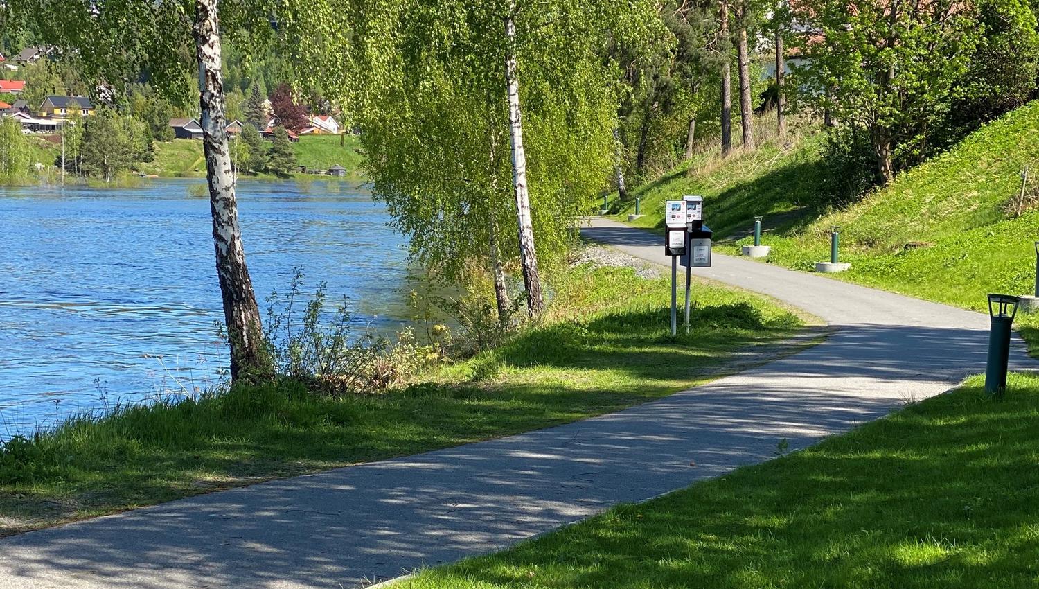 Elvelangs tursti i Hønefoss