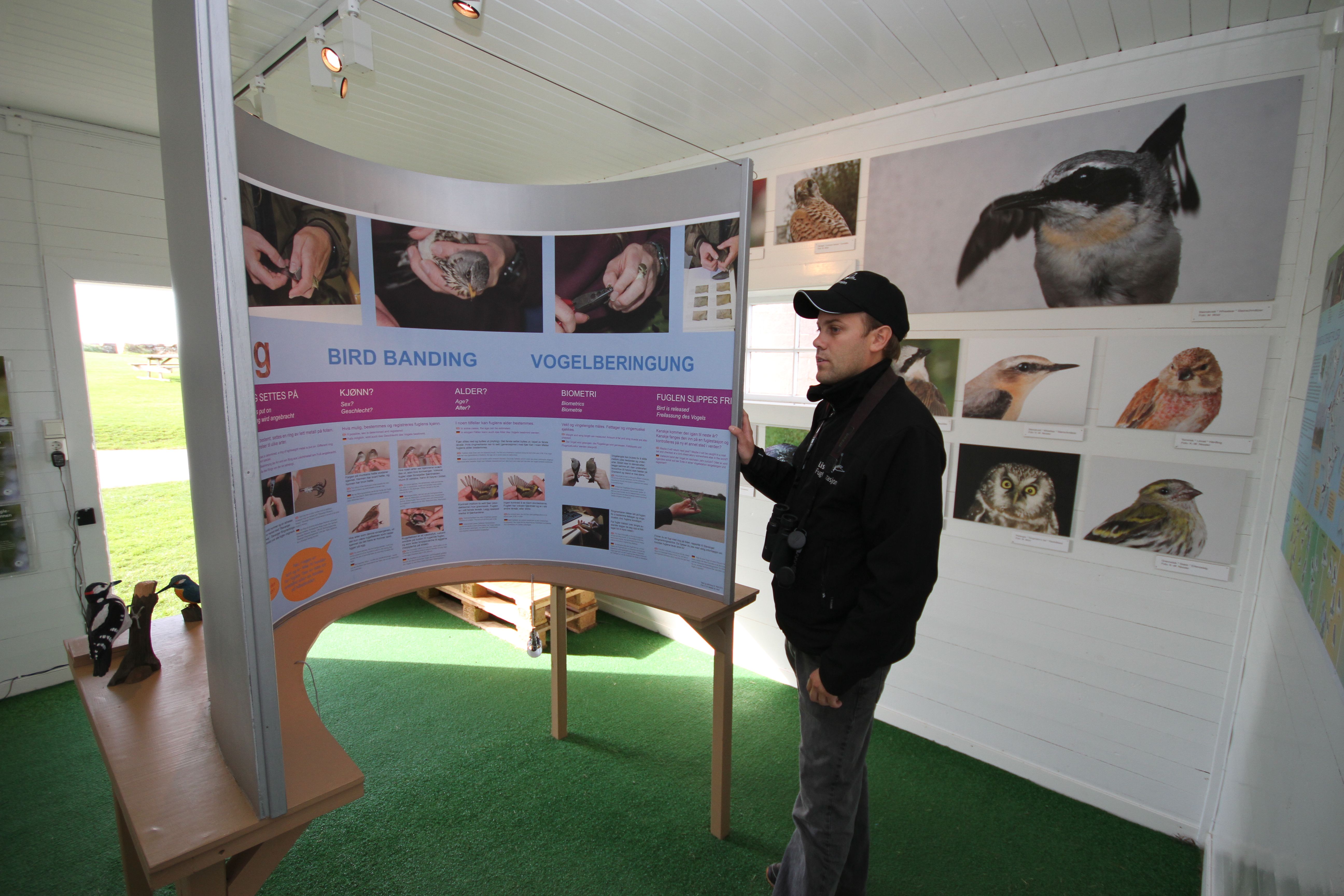 Fugleutstilling på Lista fyr