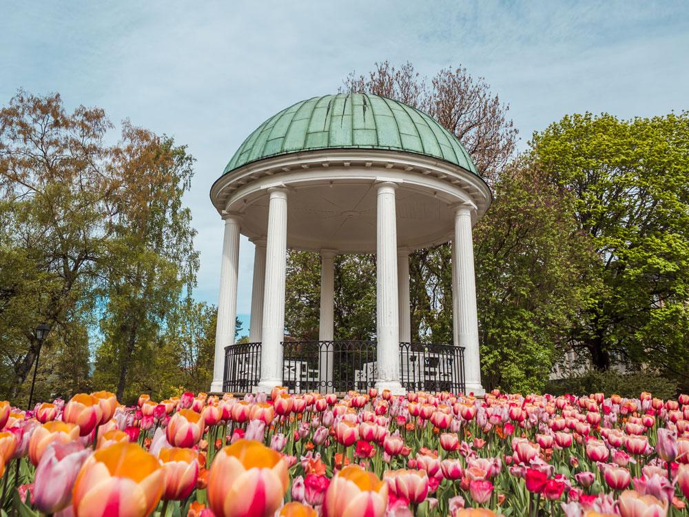 Paviljong Brekkeparken tulipaner