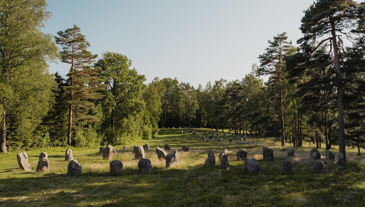 Steinring feltet på Hunn