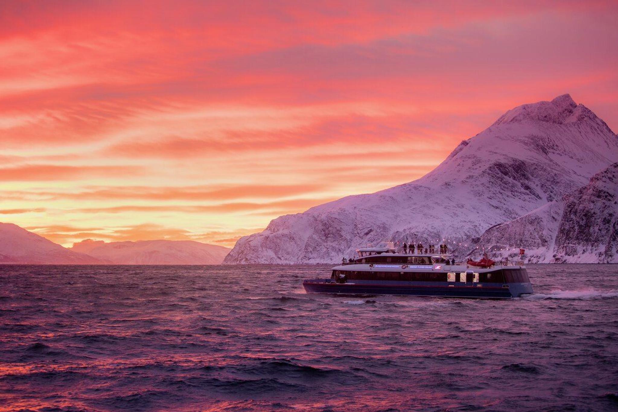 The boat Rygerdronningen on a whale watching tour by Rødne Fjord Cruise in the Tromsø region