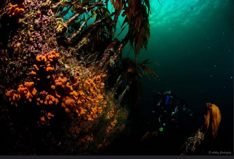 First Time Diver with PADI 5 Star Dive Resort