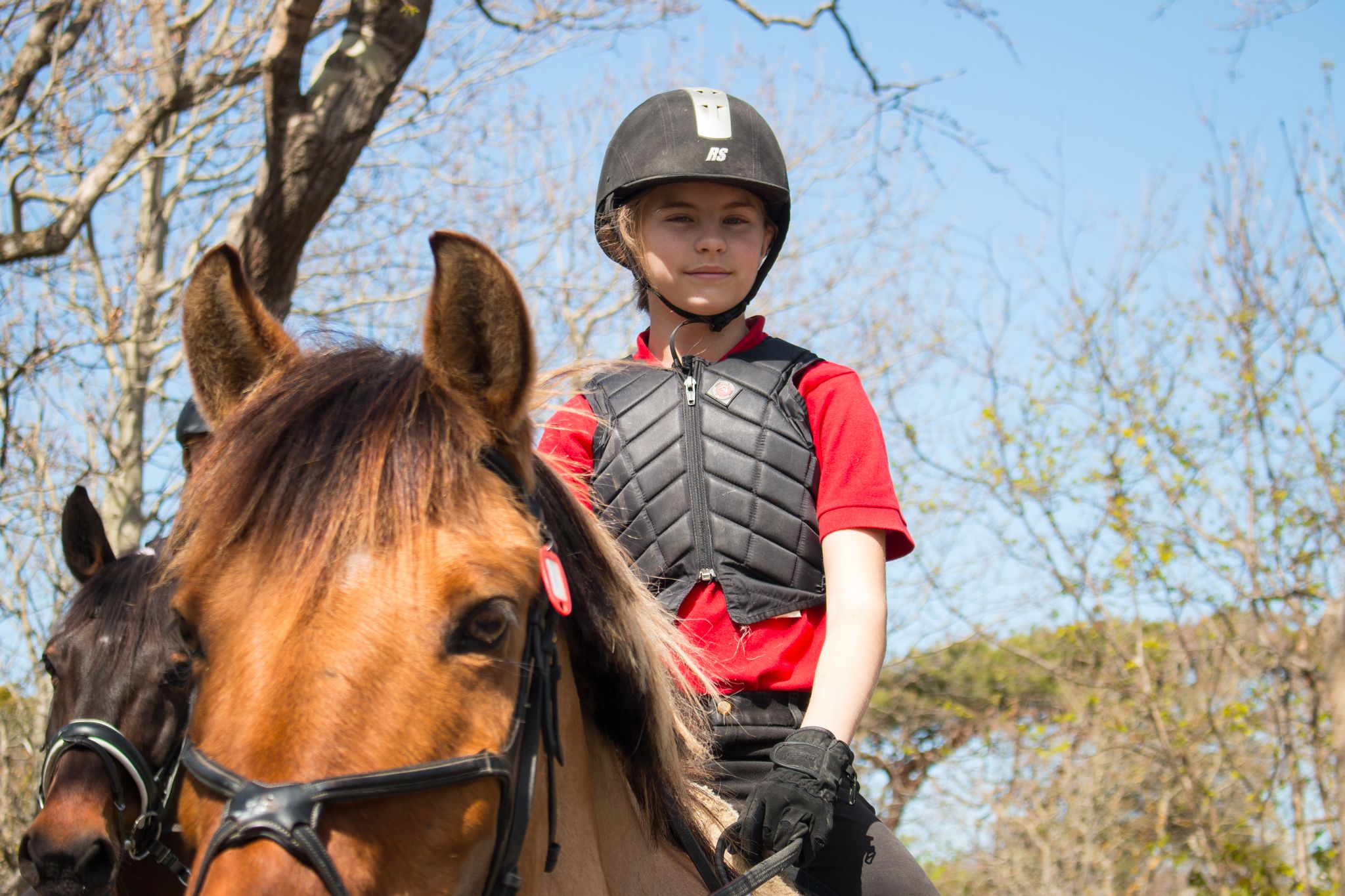 Ridetur ved Verdens Ende, hester og rytter