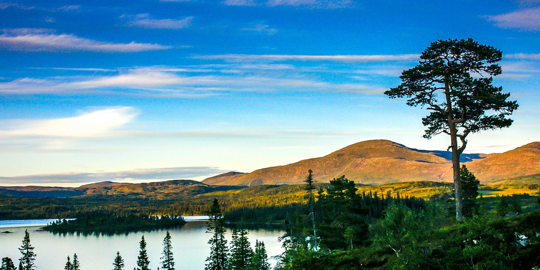 Åsvatnet-Skjækra--Skjækerhatten