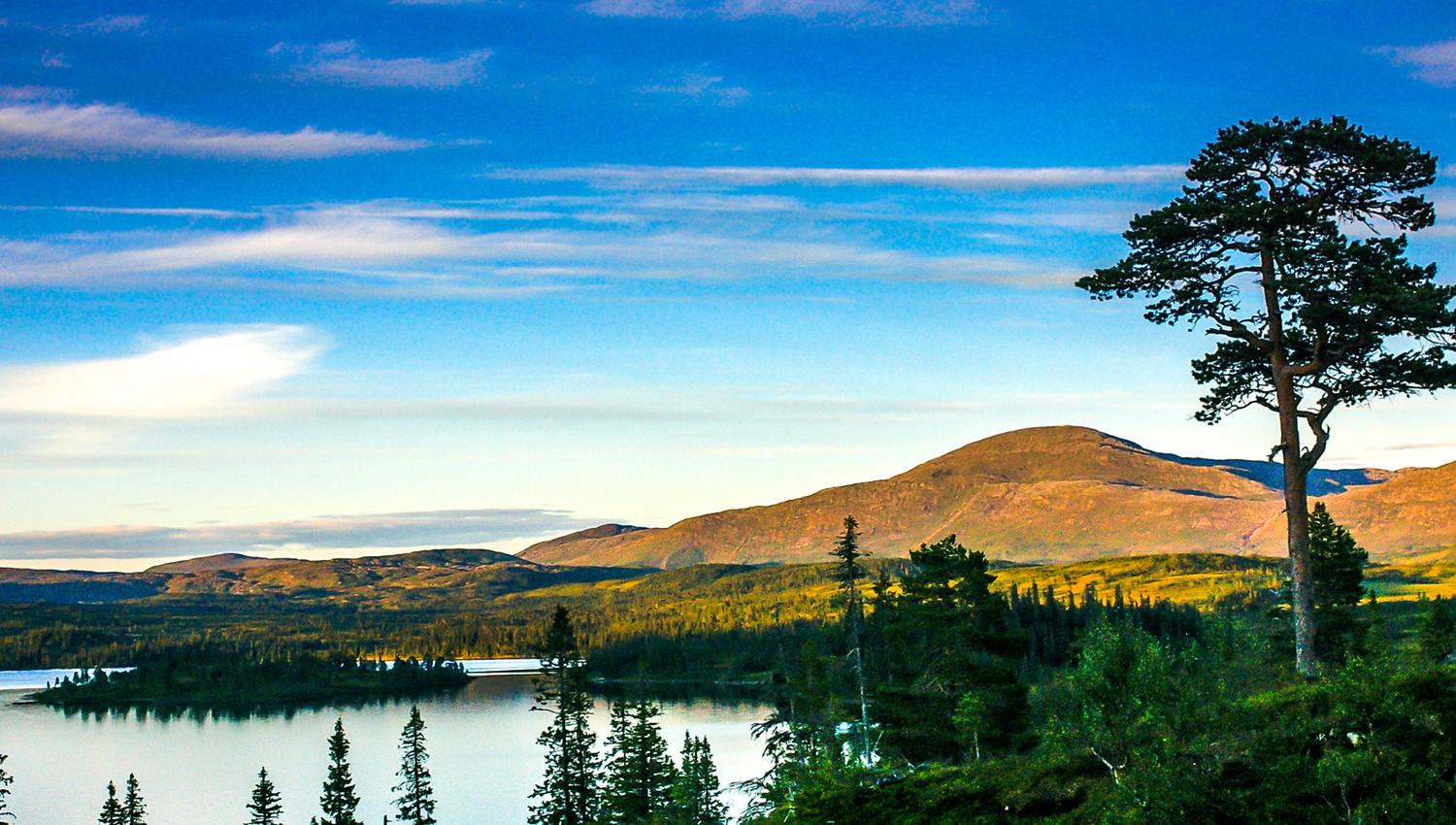 Lake Åsvatnet-Skjækra--Skjækerhatten mountain