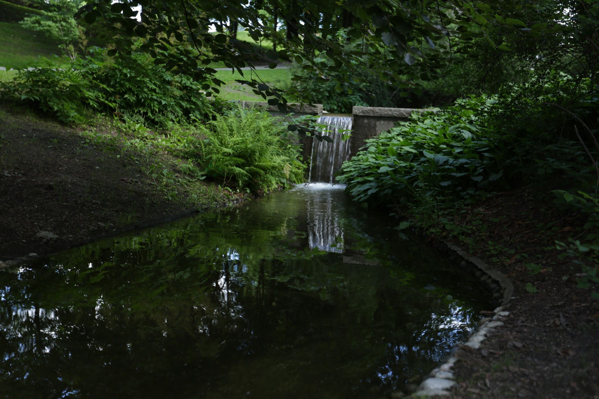 Elva nederst i parken