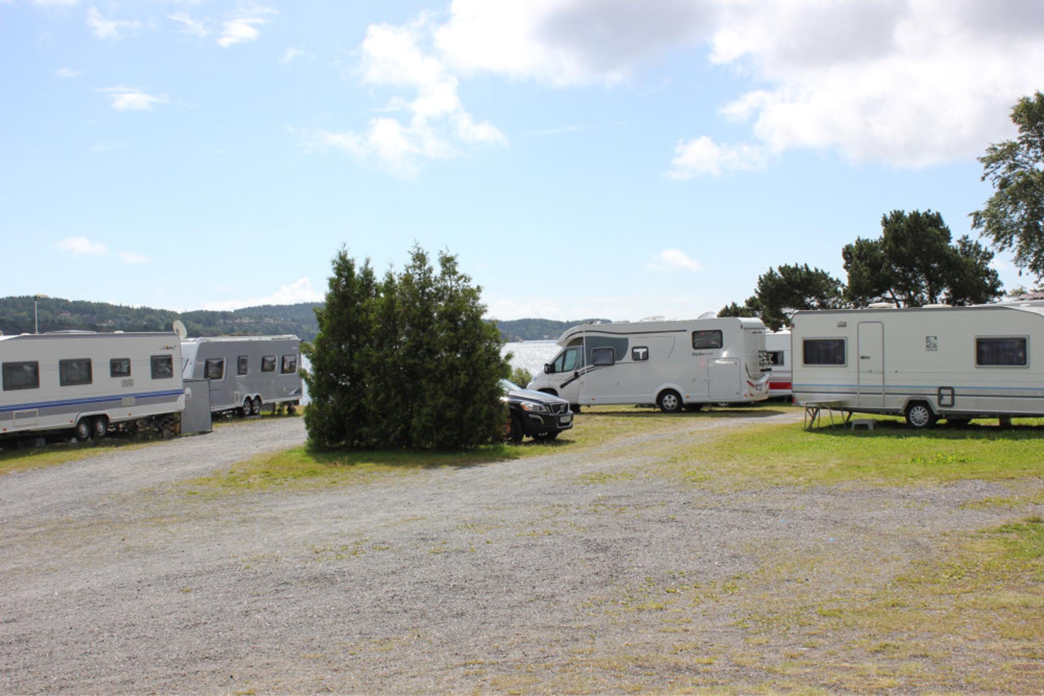 Asnes Camping