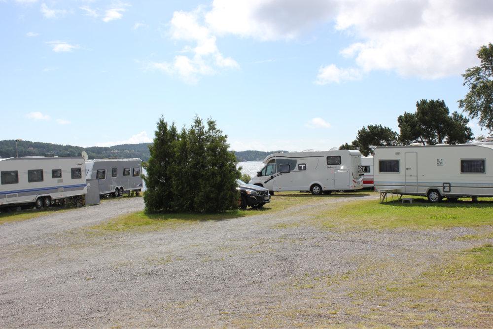 Asnes Camping