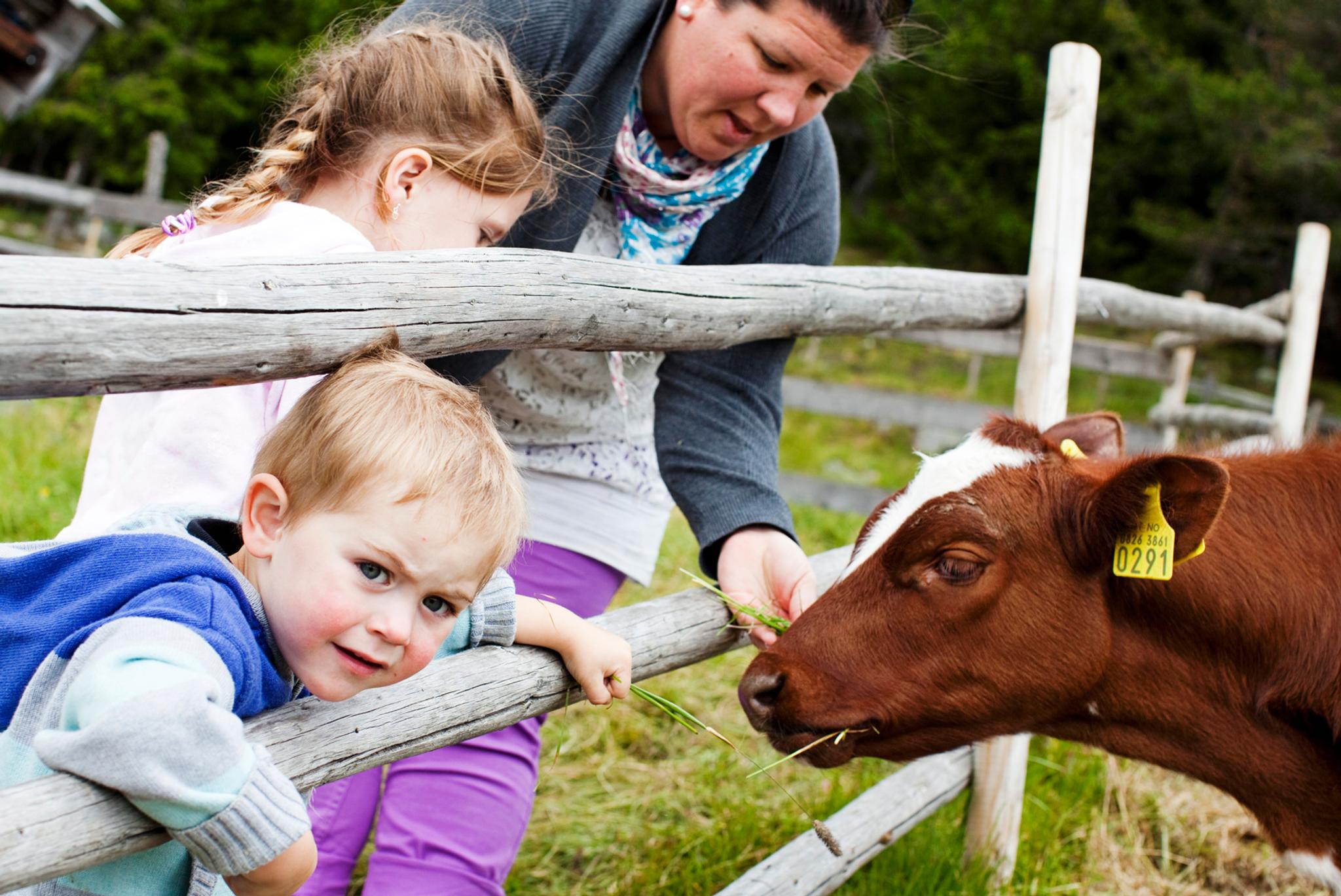 Håvardsrud Seterliv