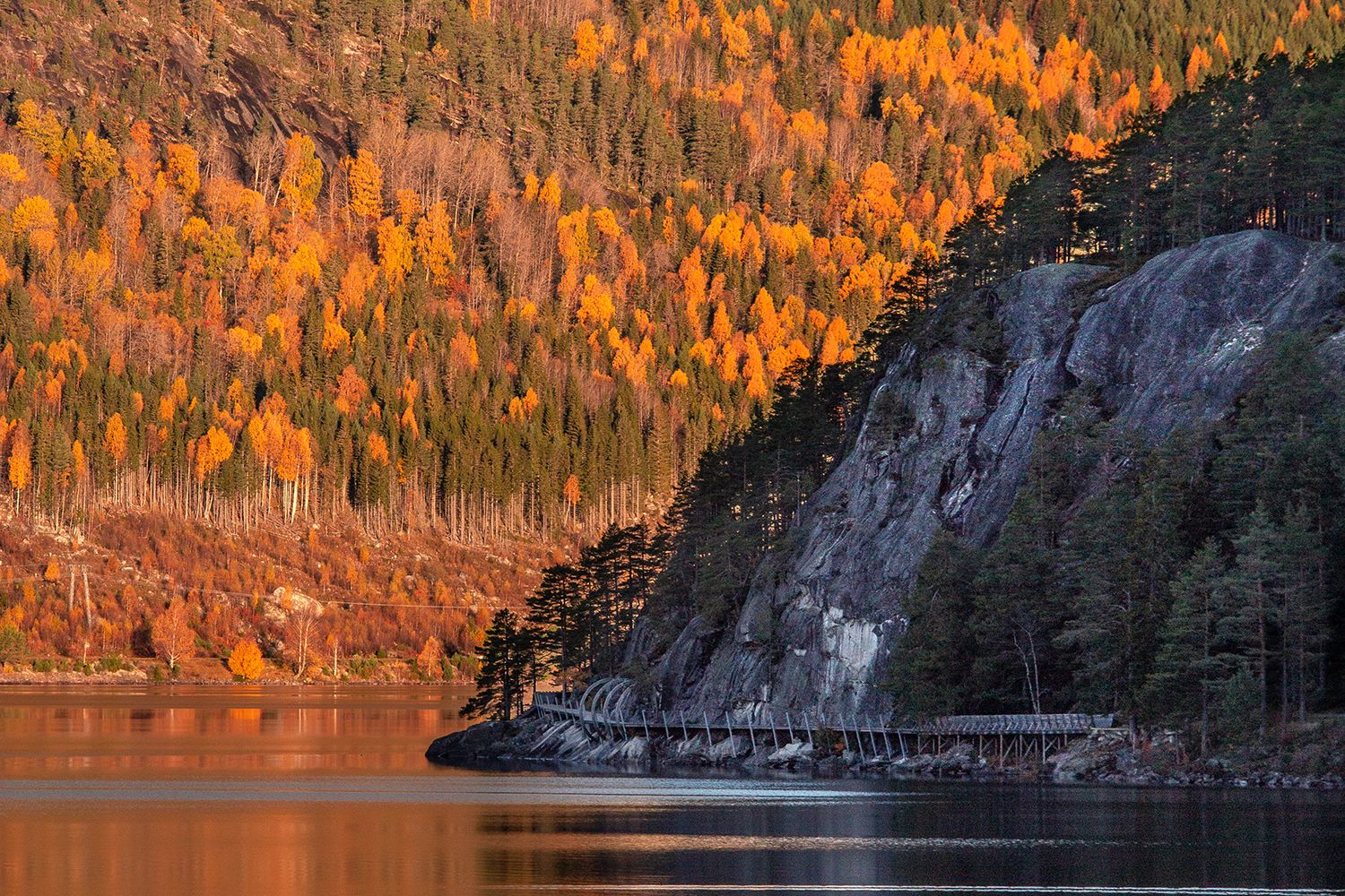 Hamaren Activity Park in the fall.