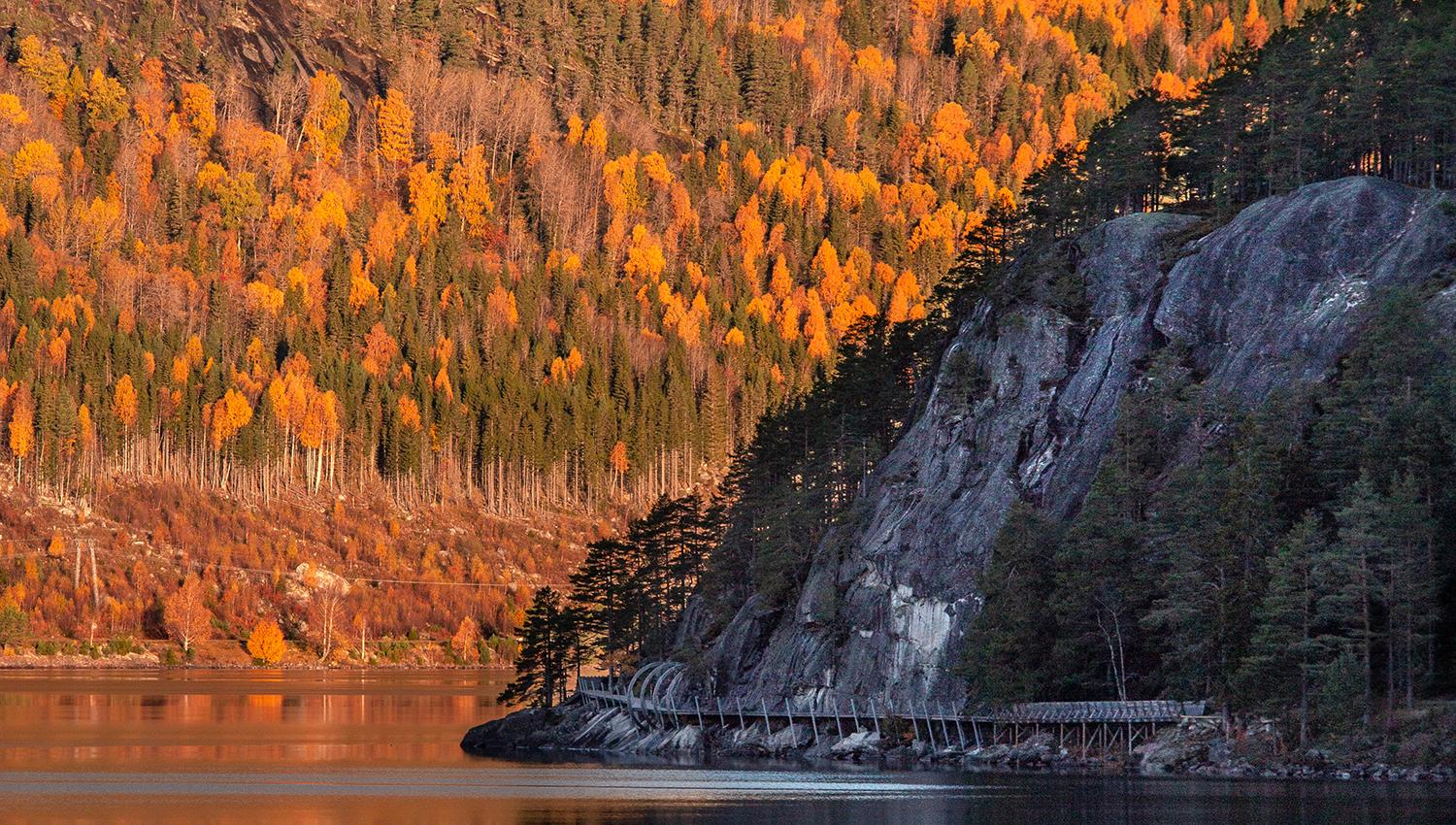 Hamaren Activity Park in the fall.