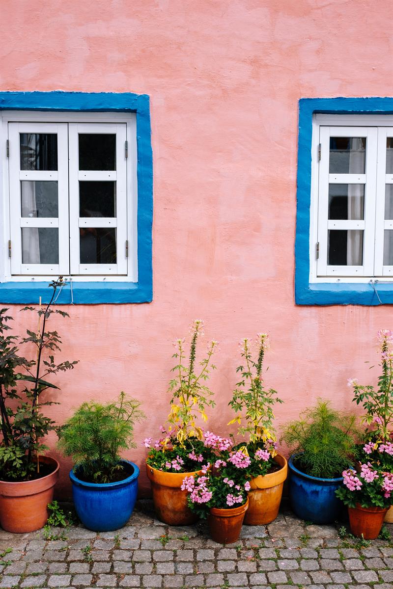 Sommerblomster i Kardemomme By i Dyreparken Kristiansand