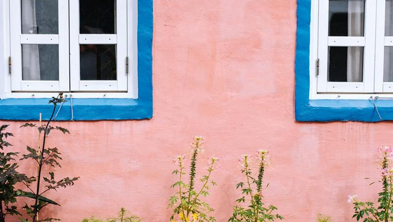 Sommerblomster i Kardemomme By i Dyreparken Kristiansand