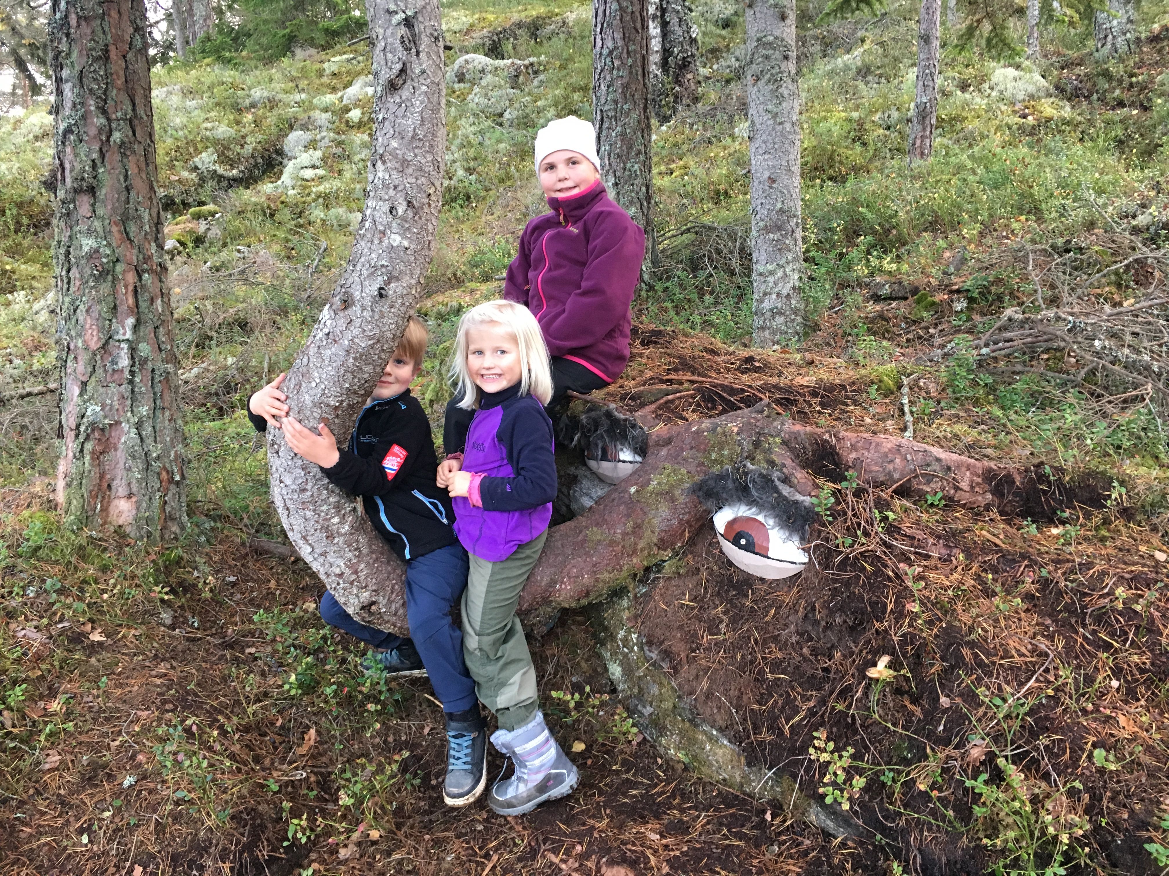 Trolløypa (16)