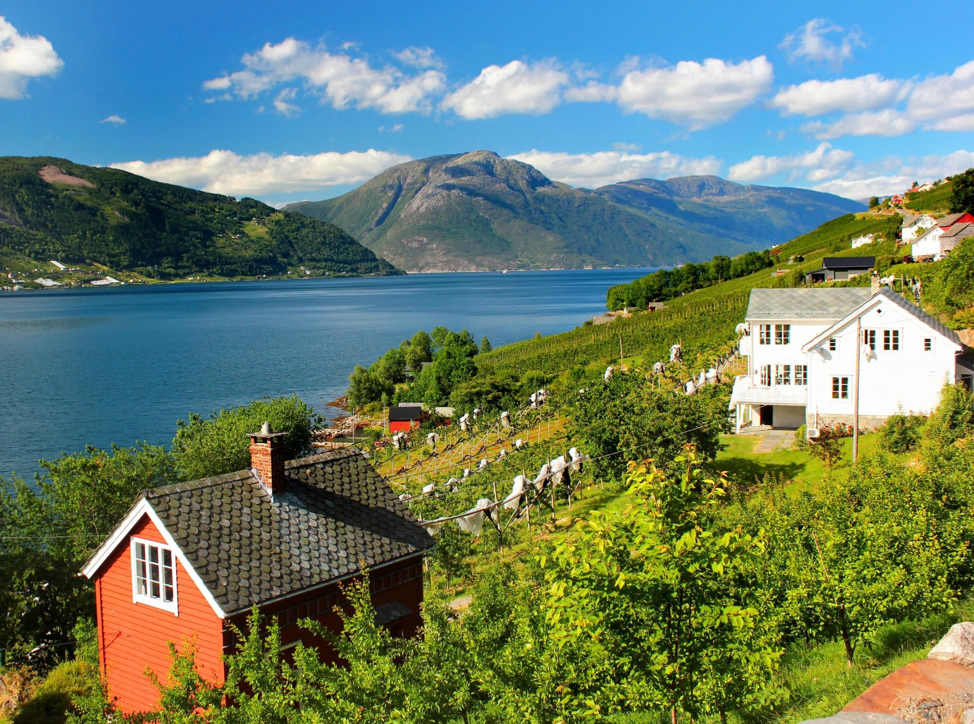 Houses along the Hardangerfjord