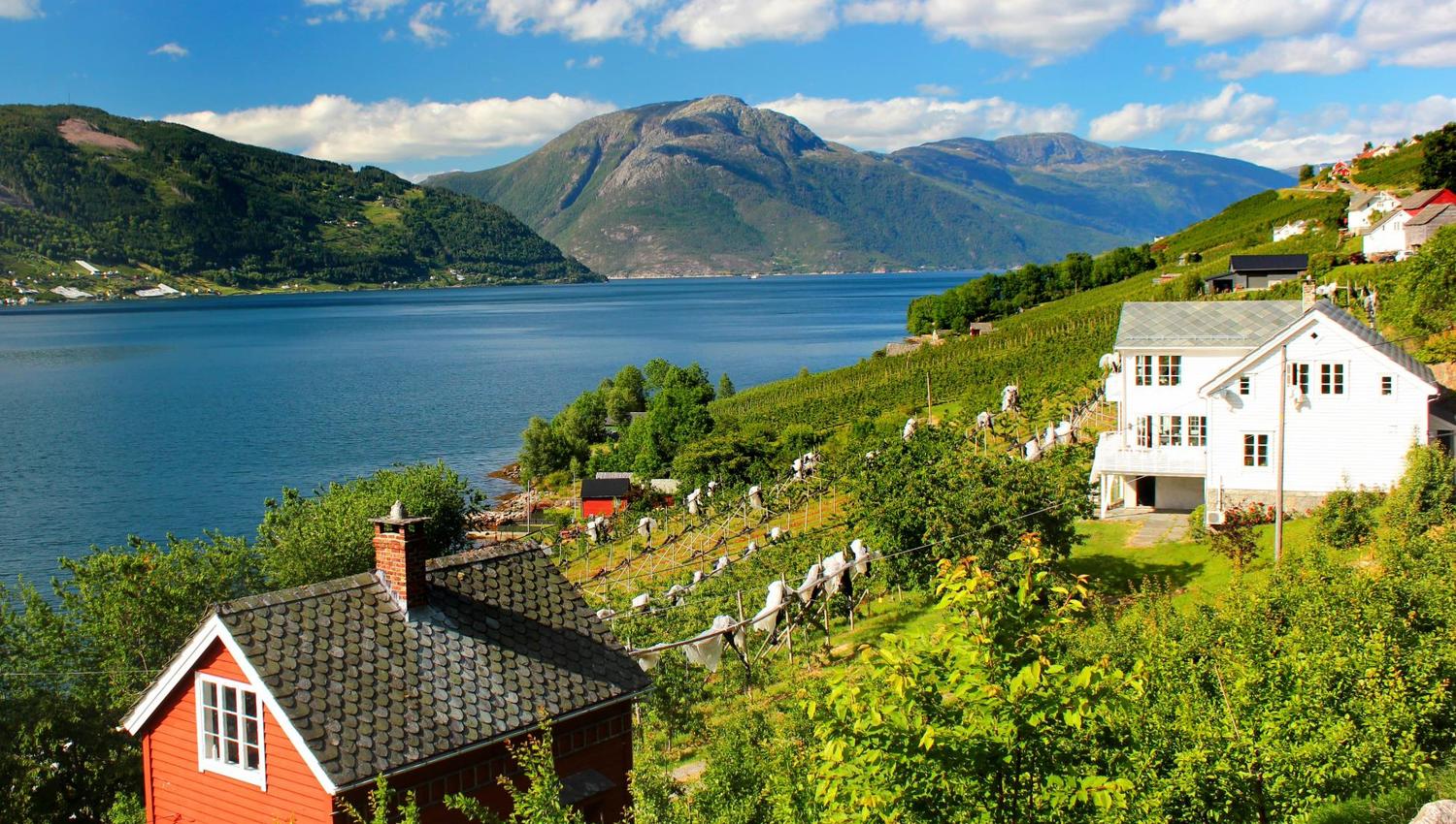 Houses along the Hardangerfjord