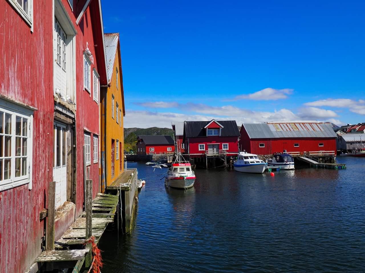 The Atlantic Ocean - Bus excursion and walk