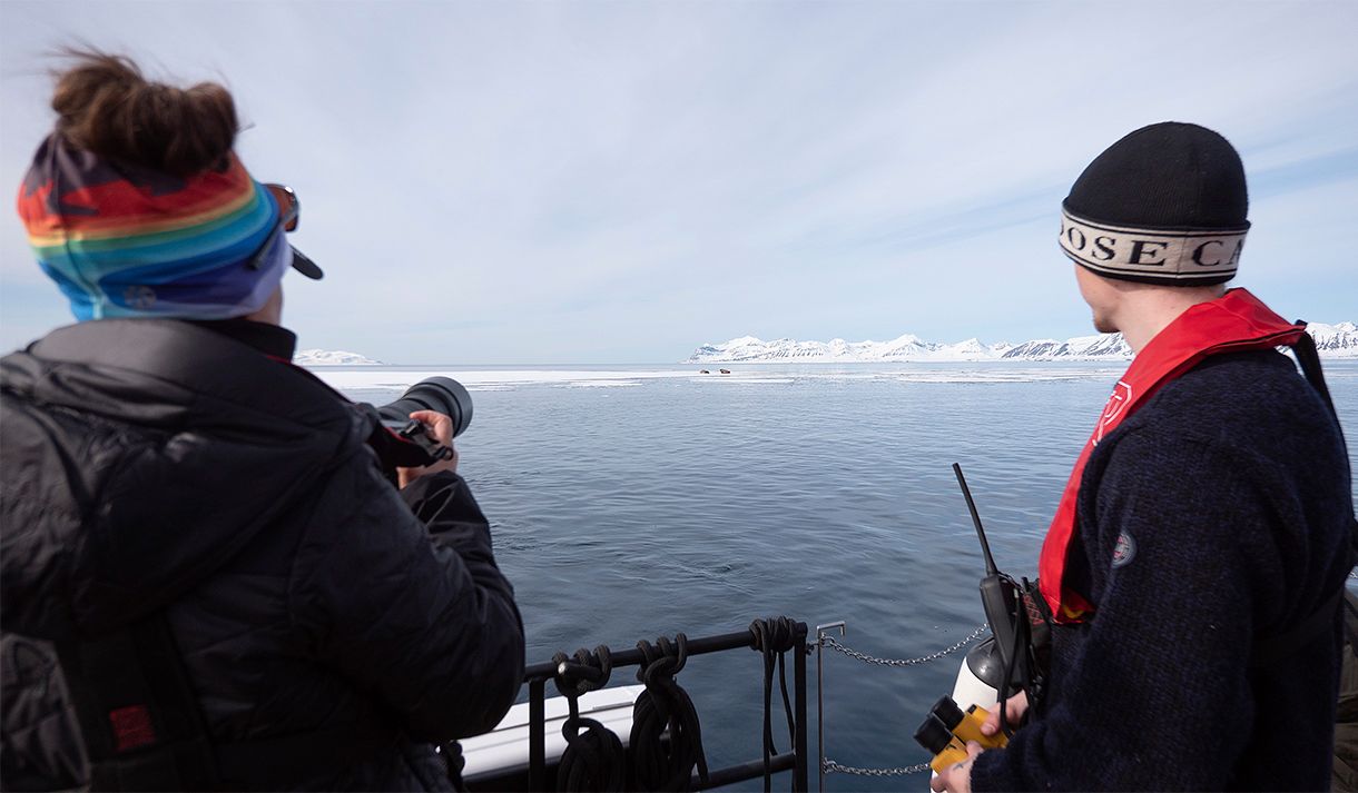 Two persons on board a boat scouting out across a fjord towards two walruses on a sheet of ice in the background