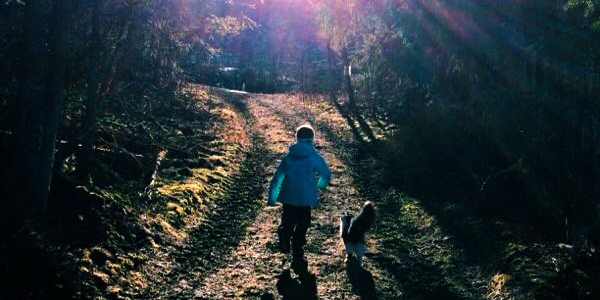 Troset in Levanger Municipality: Walking in the woods
