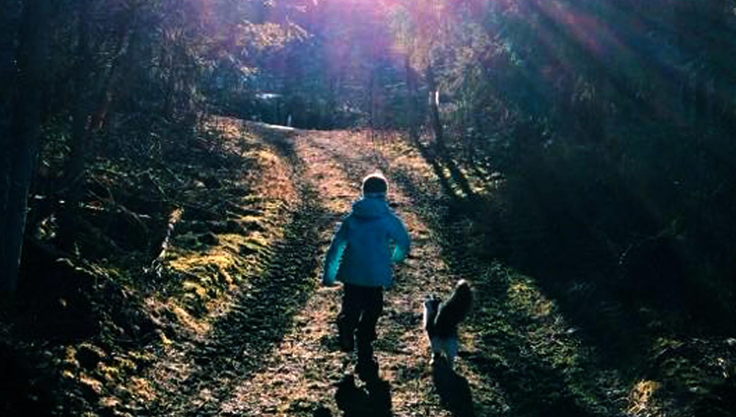 Troset in Levanger Municipality: Walking in the woods