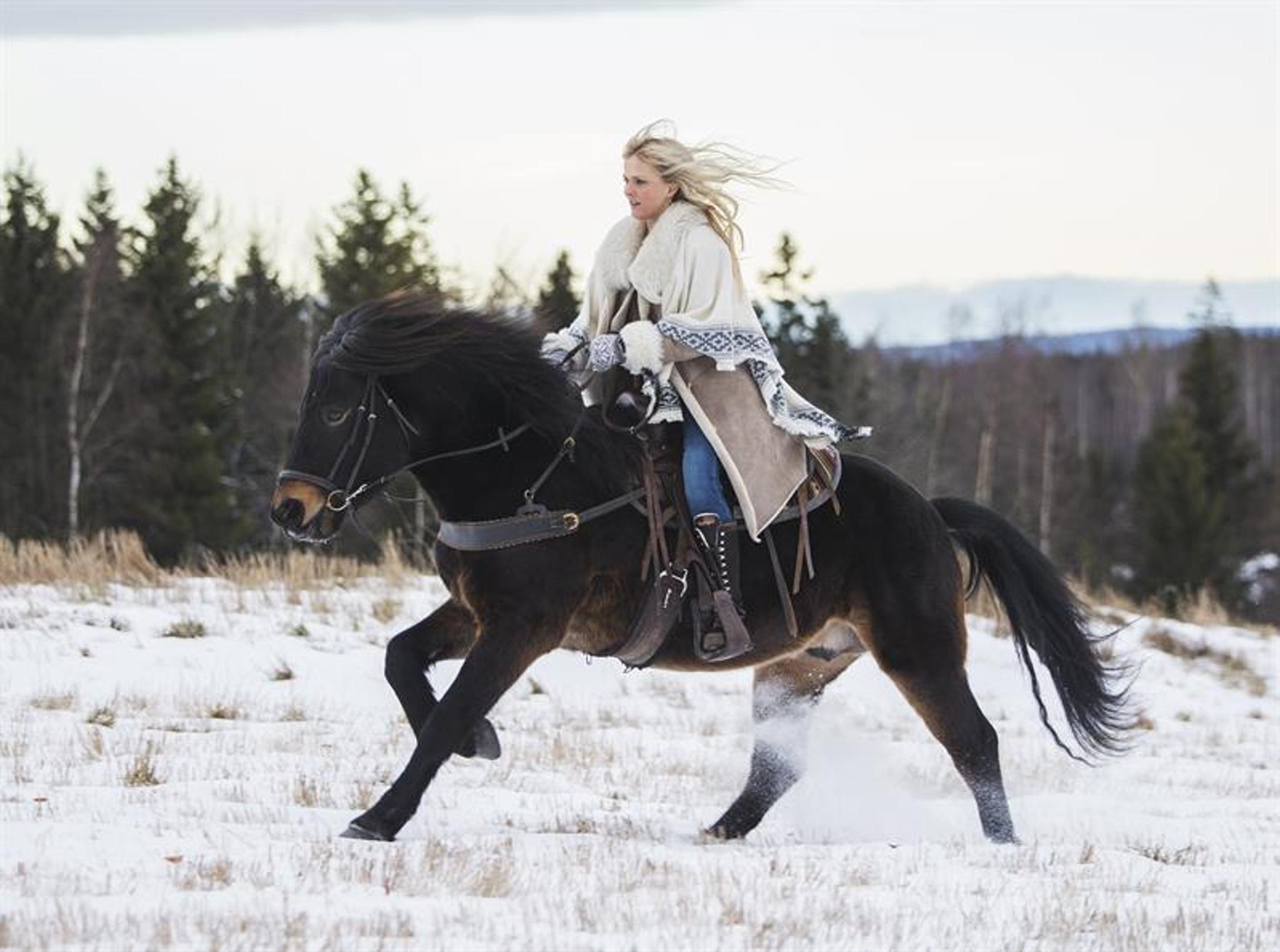 Kvinne rir på en svart hest over et snødekt jorde, med skog og fjell i bakgrunnen