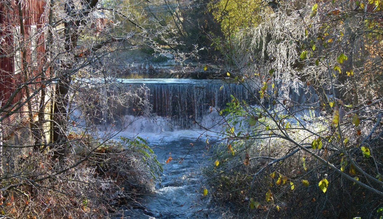 Vigga Rosendalsdammen - foto Jan Jansen