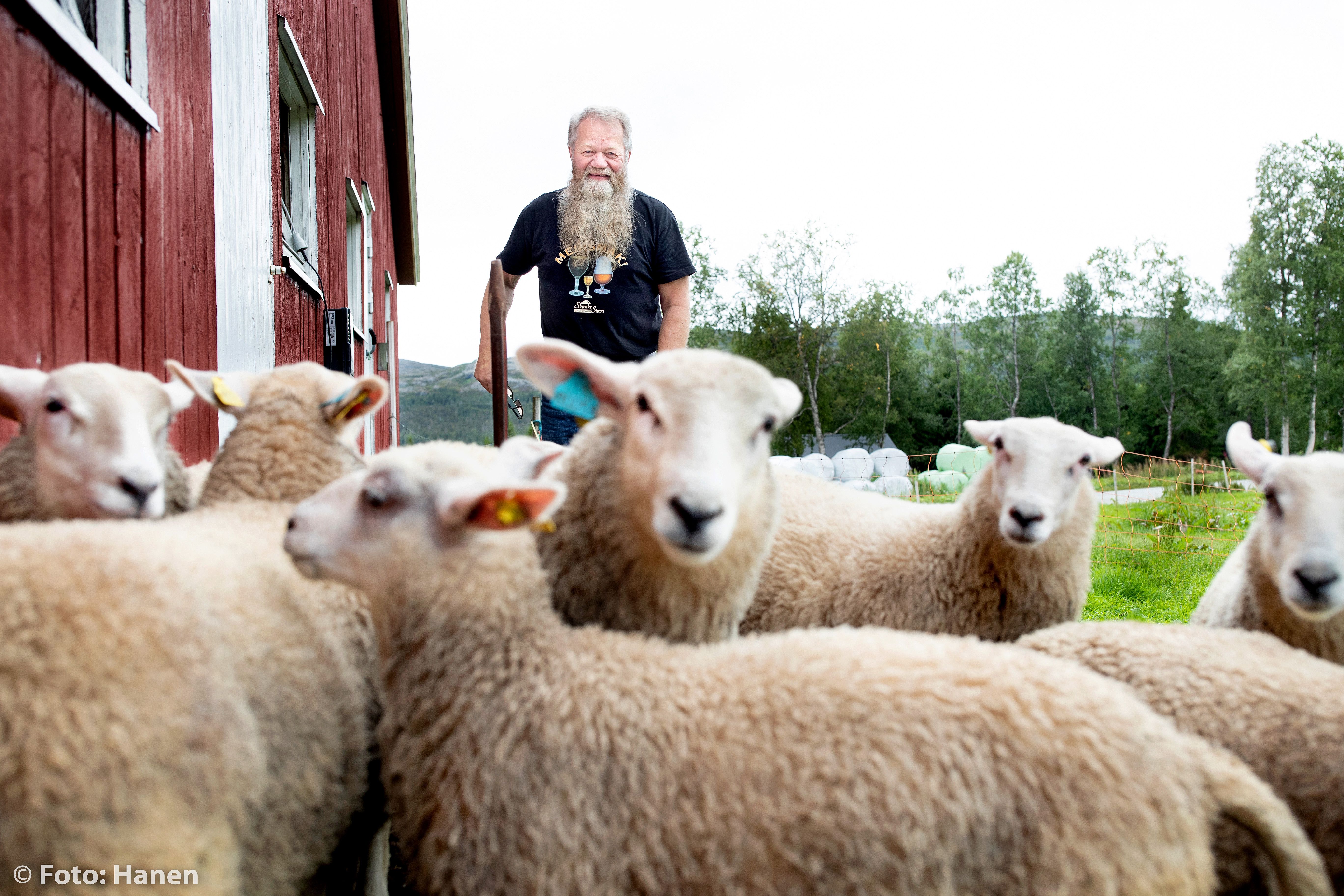 Inge Staldvik, vertskapet ved Skjenkestova. Produserer også kjøttprodukter.