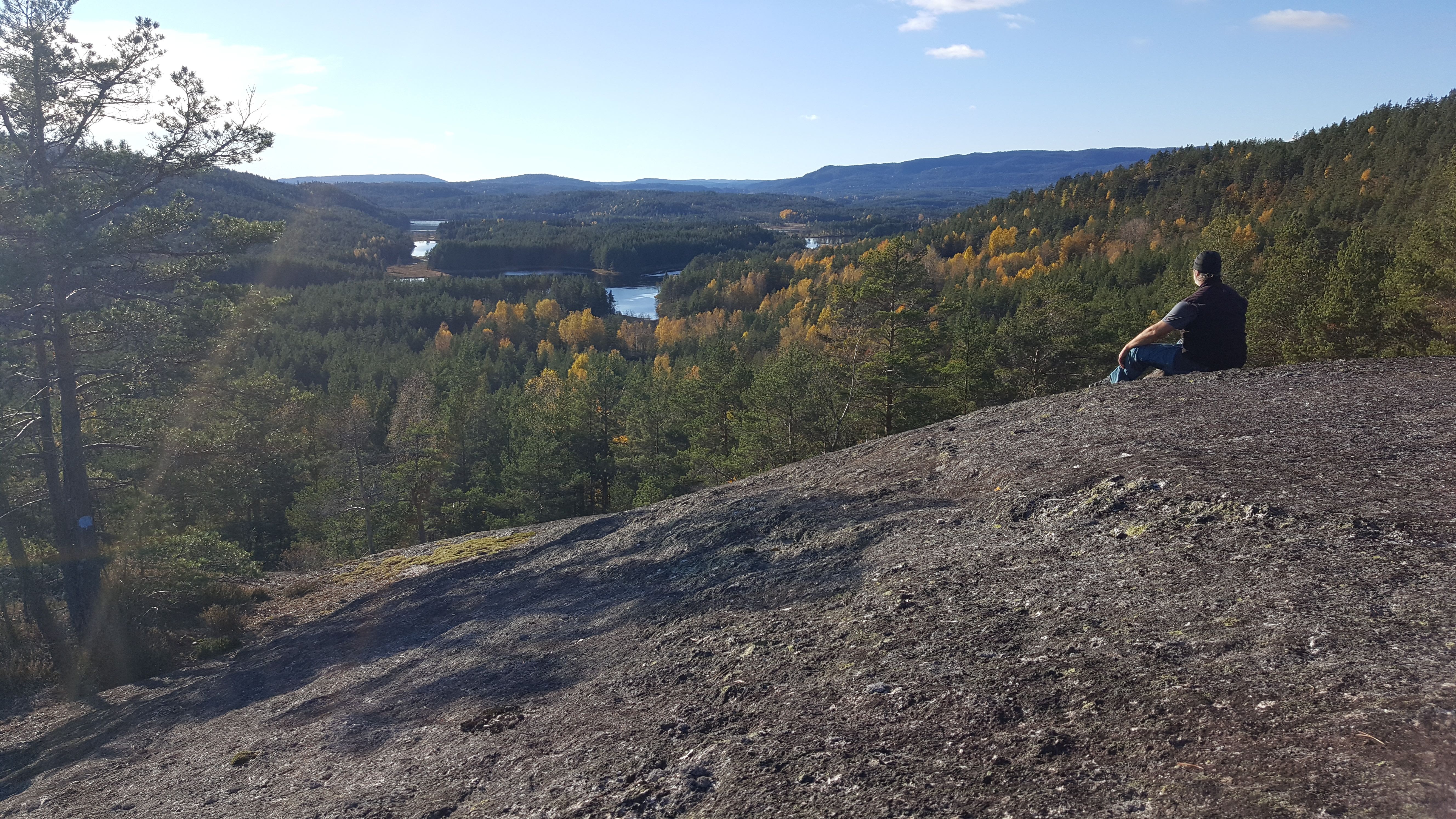 Harnesknatten