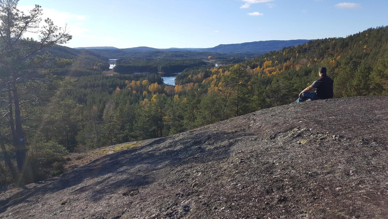 Harnesknatten