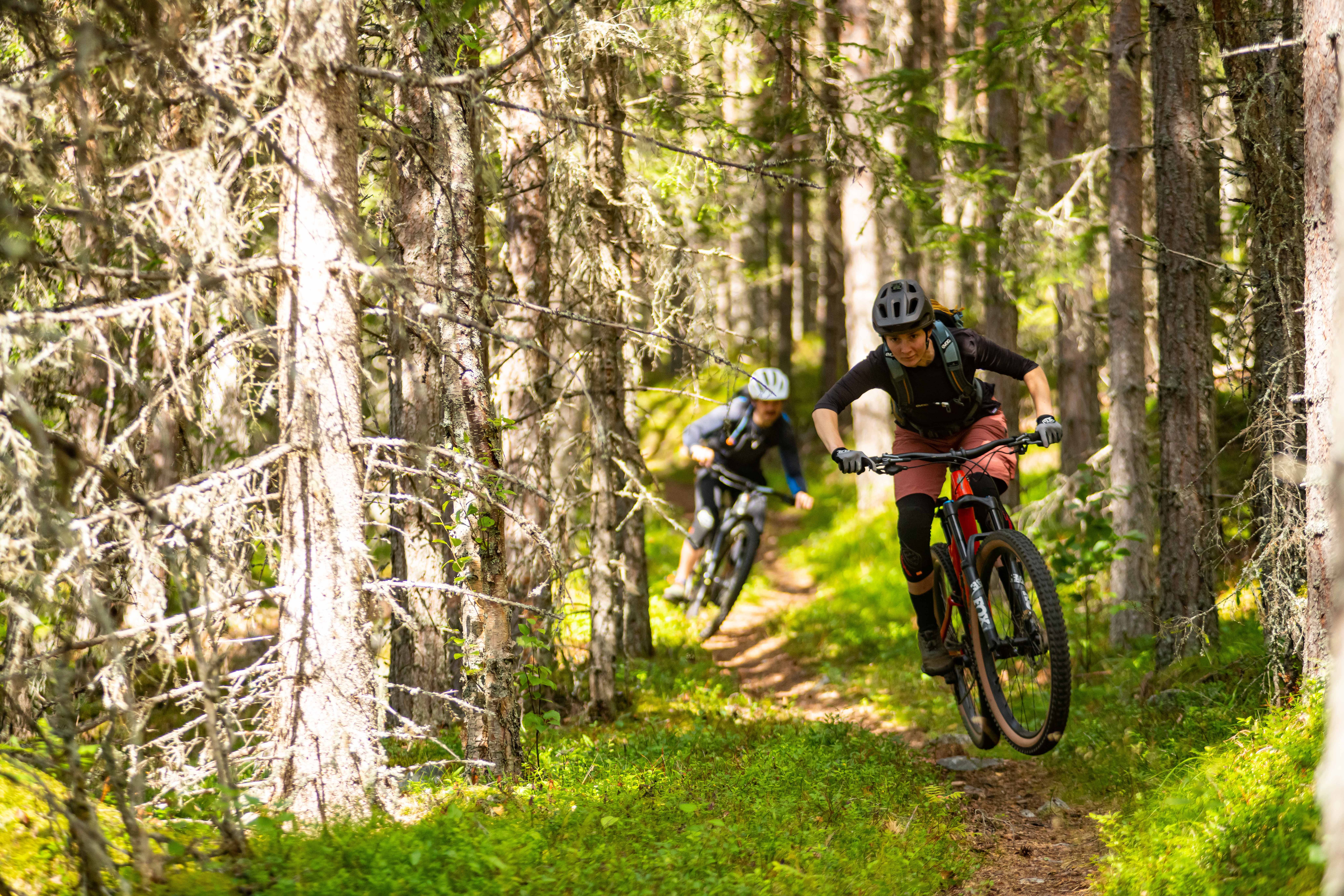 MTB riding in Nesbyen, Hallingdal