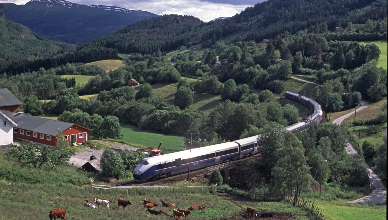 Norway Active tog
