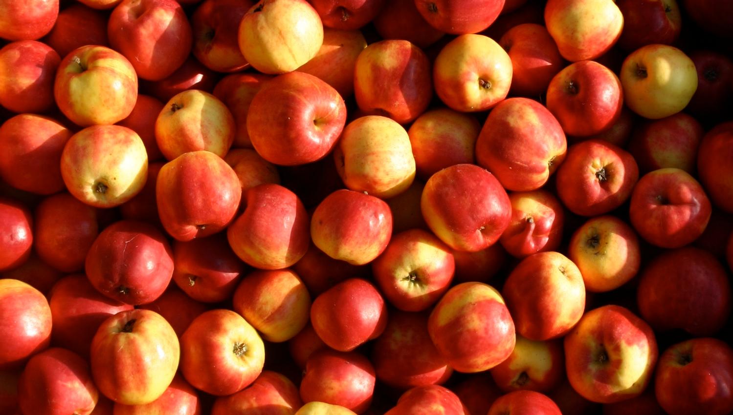 apples