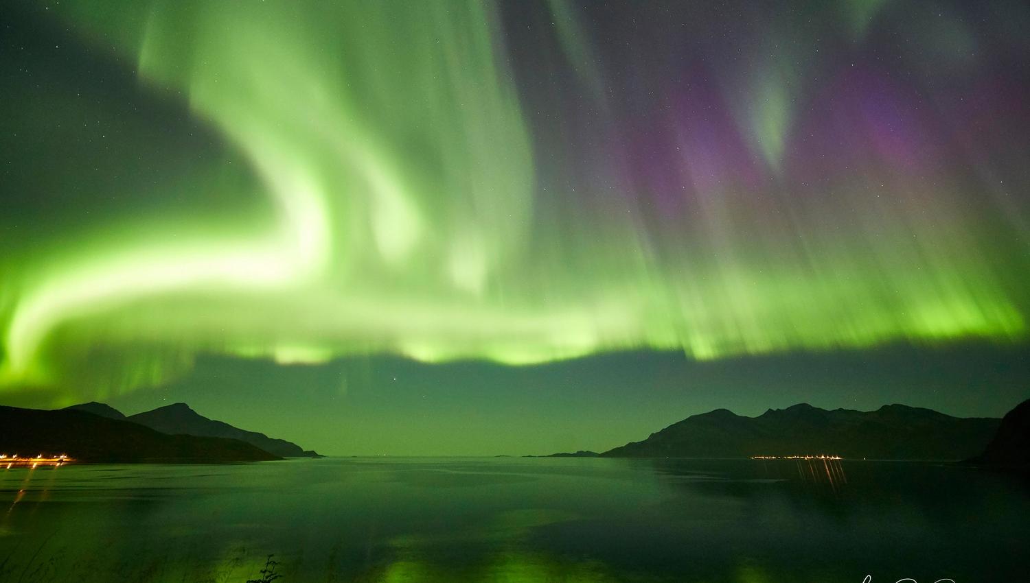 vakkert og grønt nordlys svever over himmelen og naturen