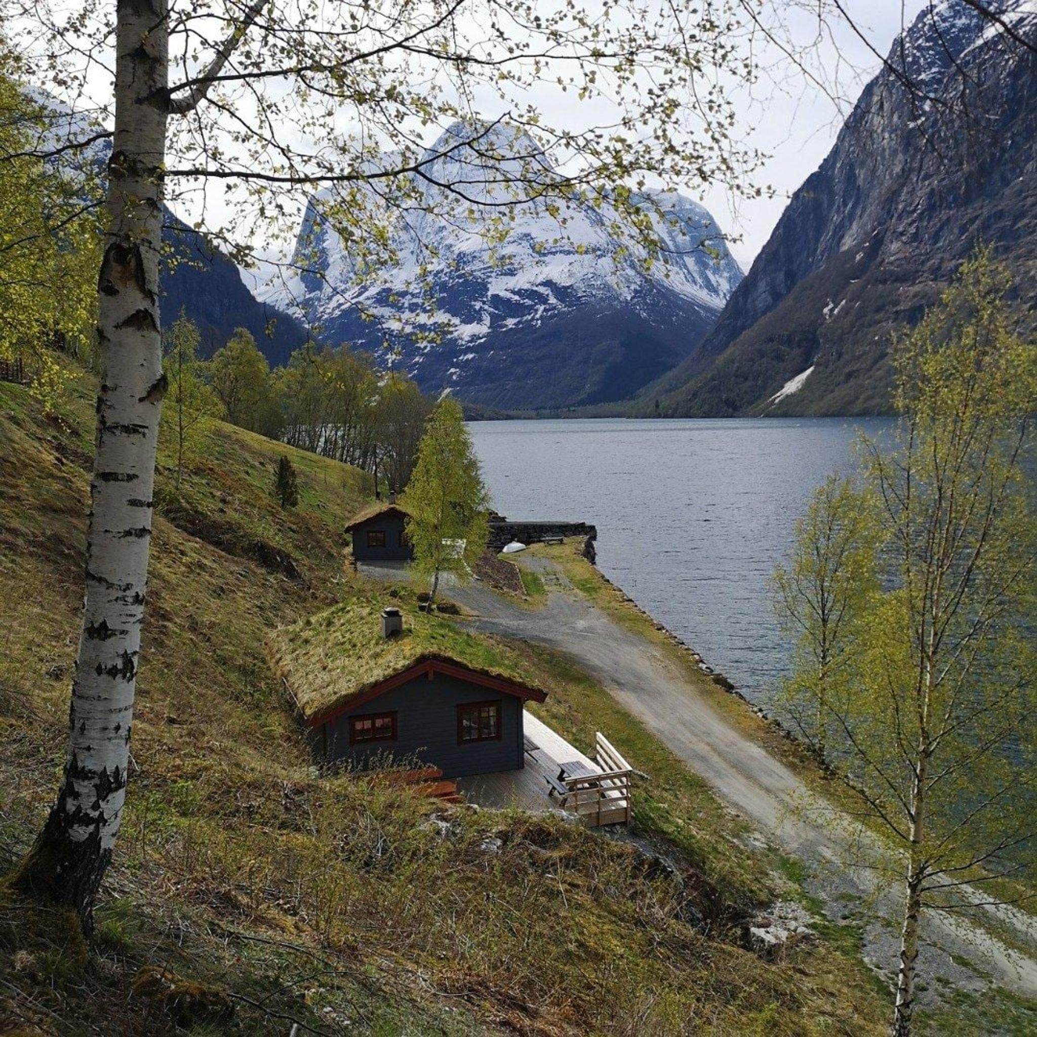 Hogrenning Gard & Overnatting 