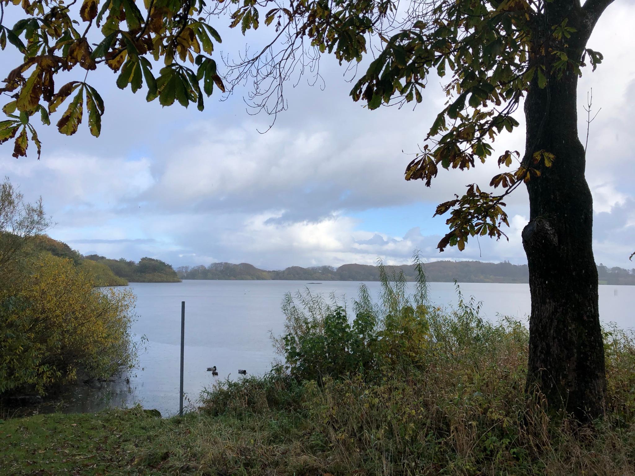Mosvatnet/Vålandskogen