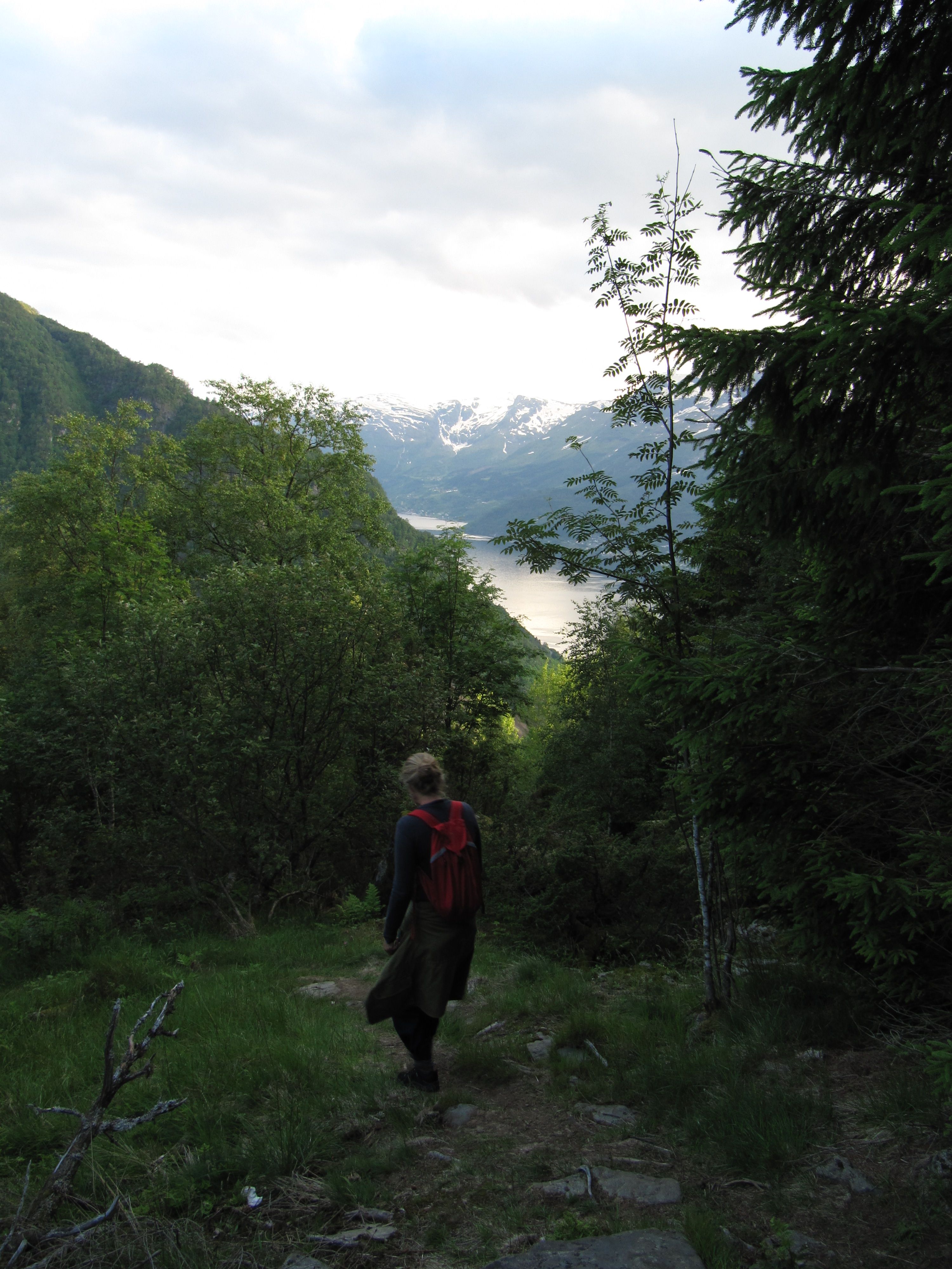 Turgåar på skogssti på Hovden rundt med utsikt mot Hardangerfjorden og snødekte fjell.