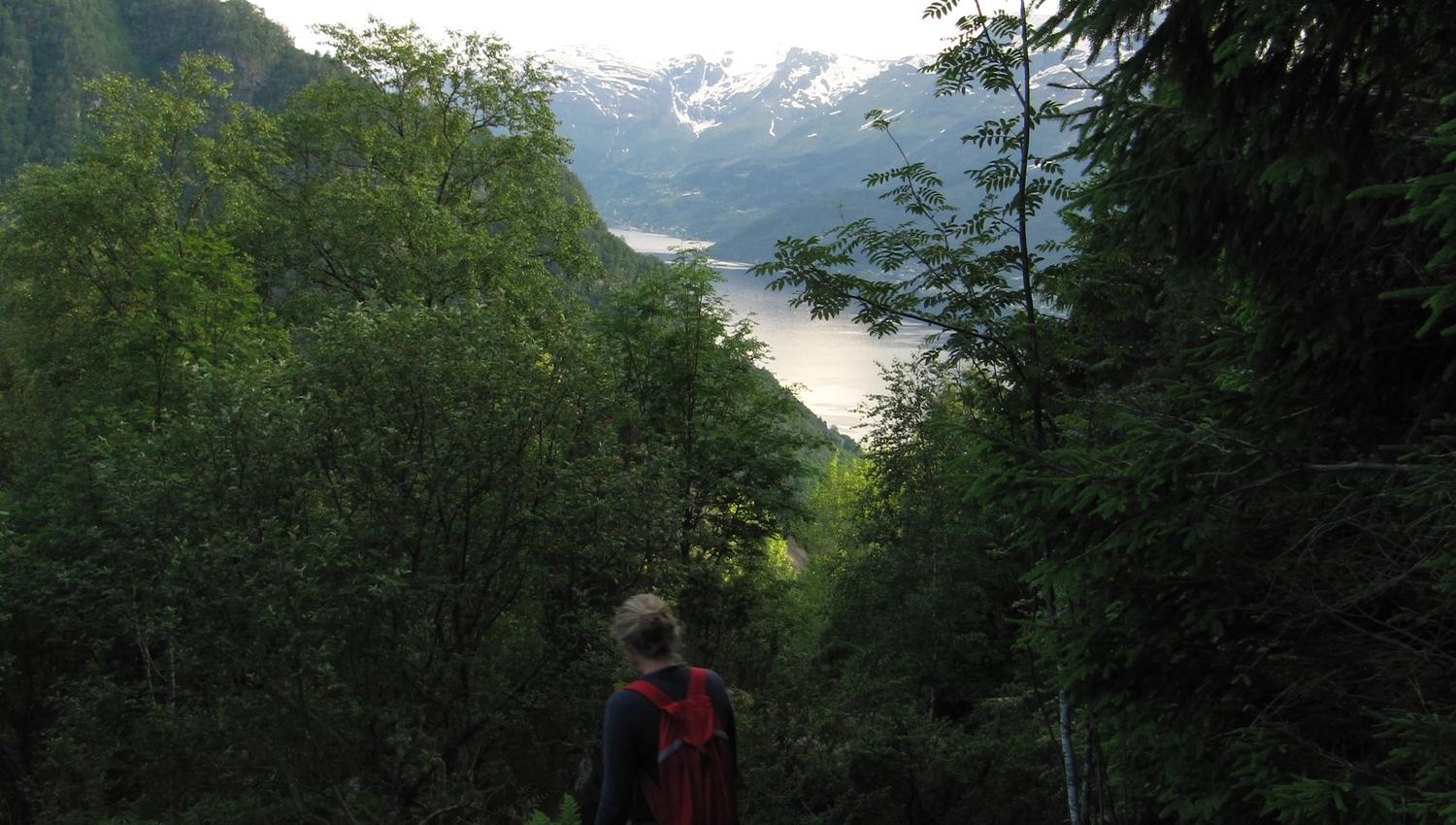 Turgåar på skogssti på Hovden rundt med utsikt mot Hardangerfjorden og snødekte fjell.