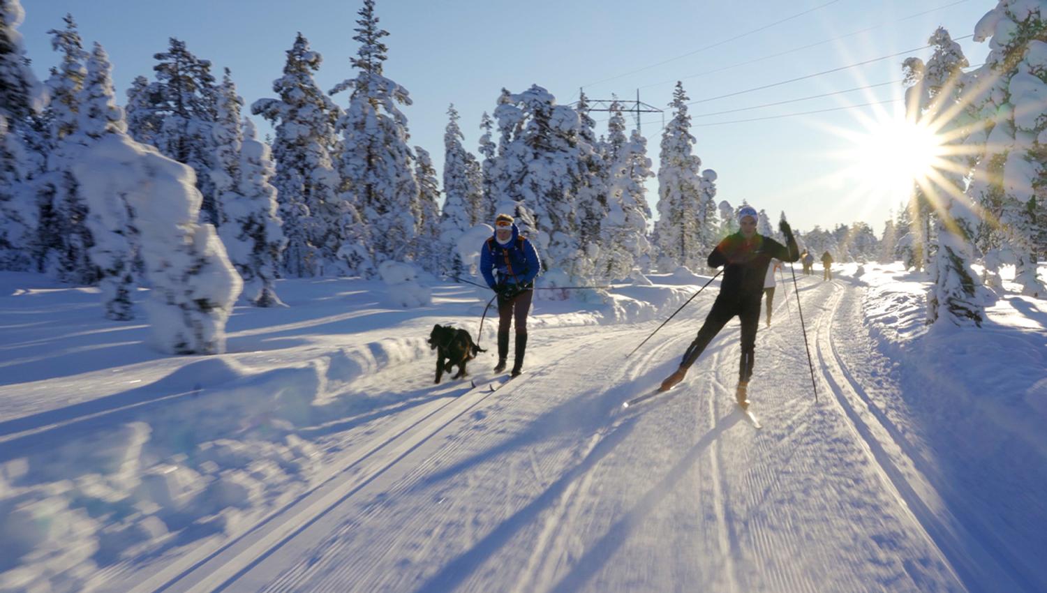 Skiløyper Øståsen Lygna Gran kommune