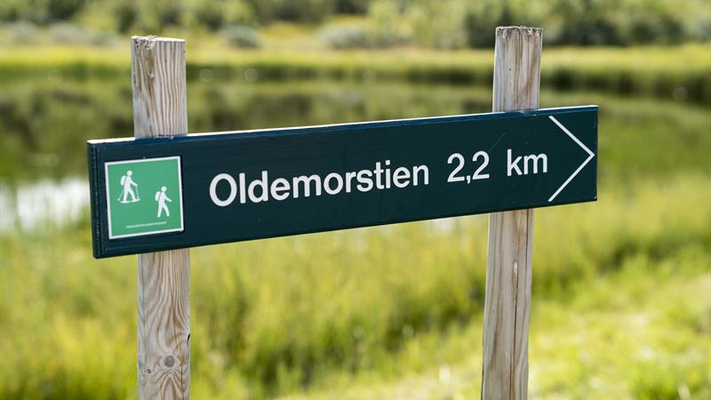 Kort og fin fottur fra Skinnarbu