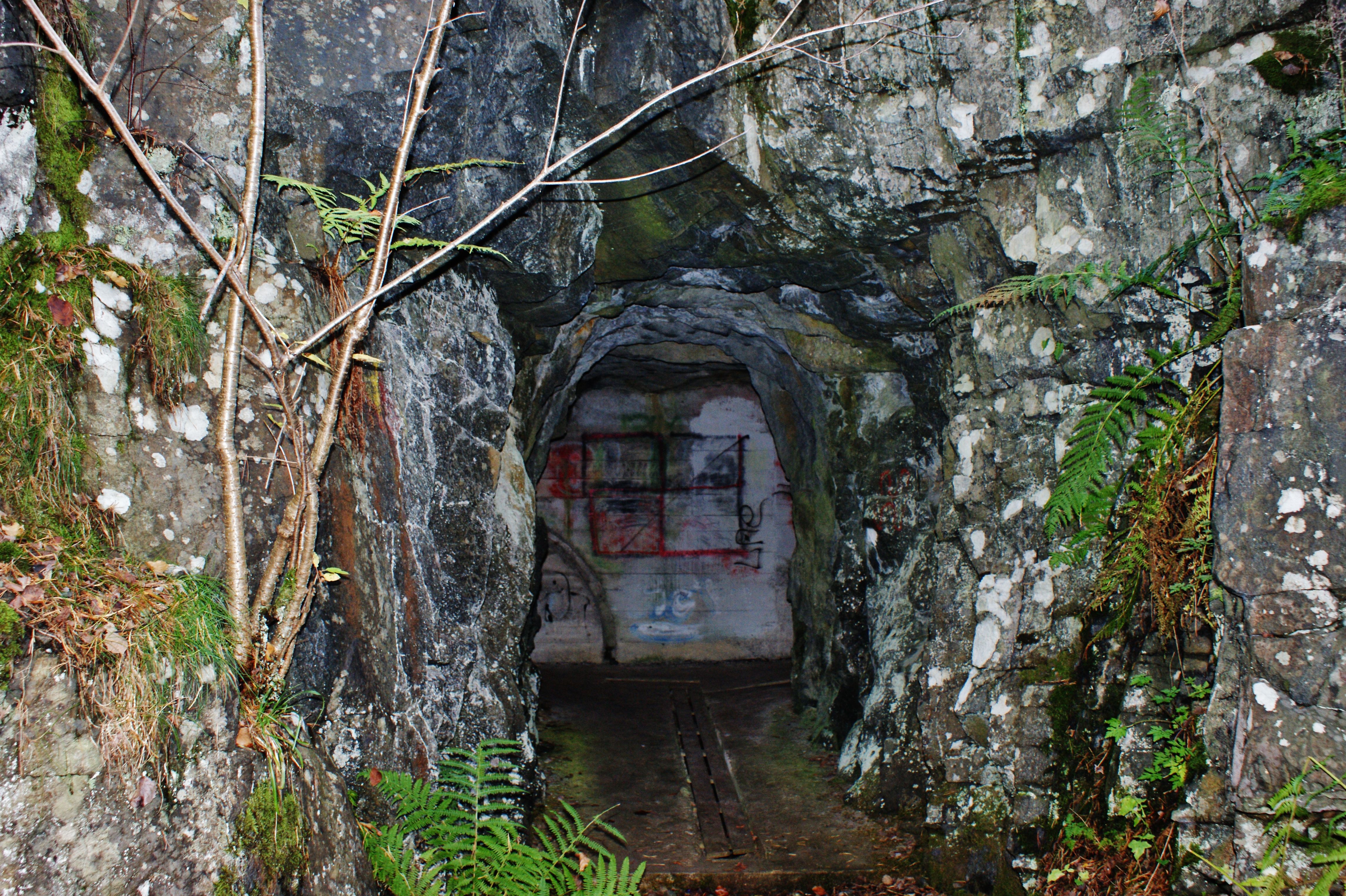 Tunnel
