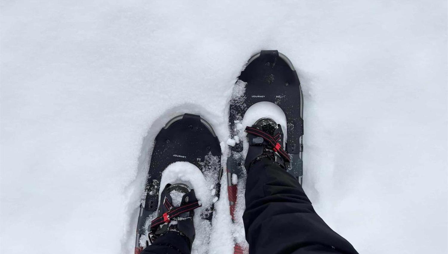 Truger i snø