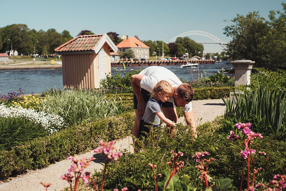 Renessansehagen på Isegran