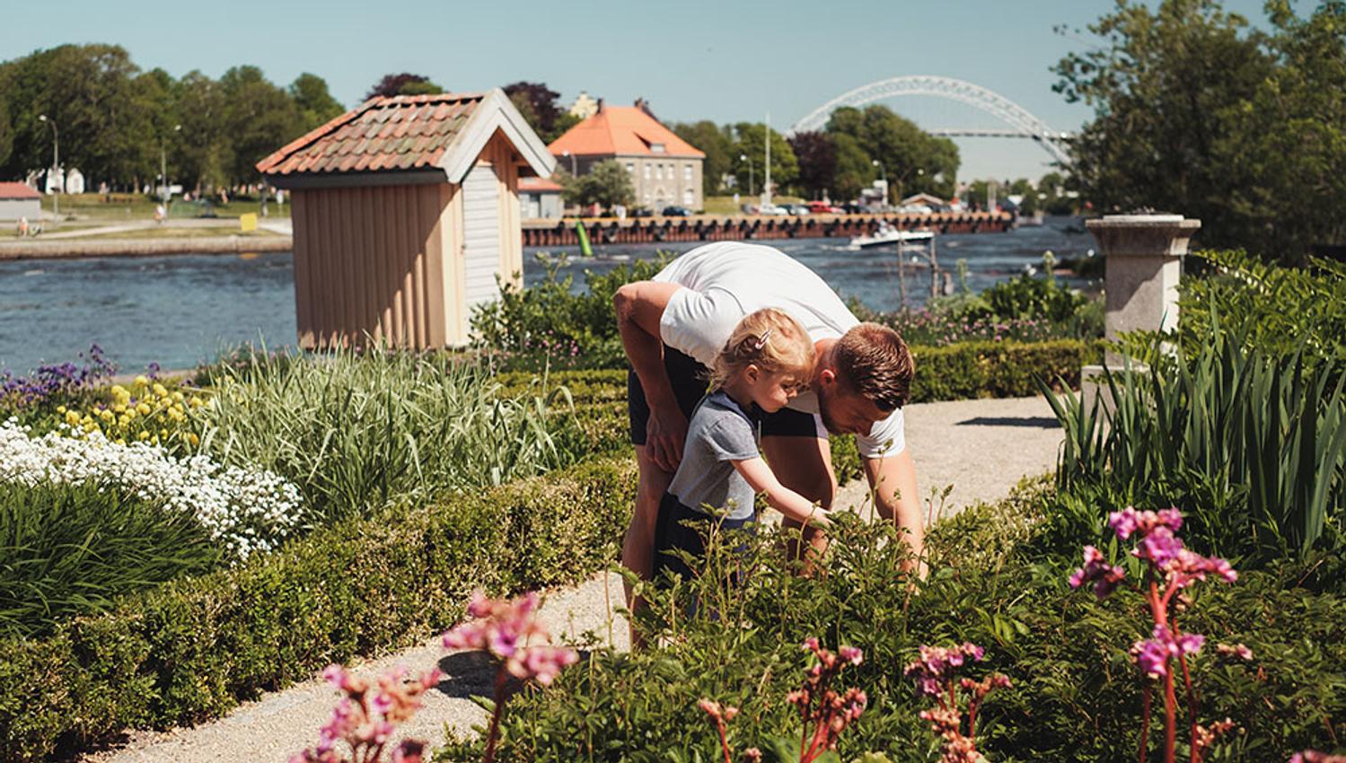 Renessansehagen på Isegran