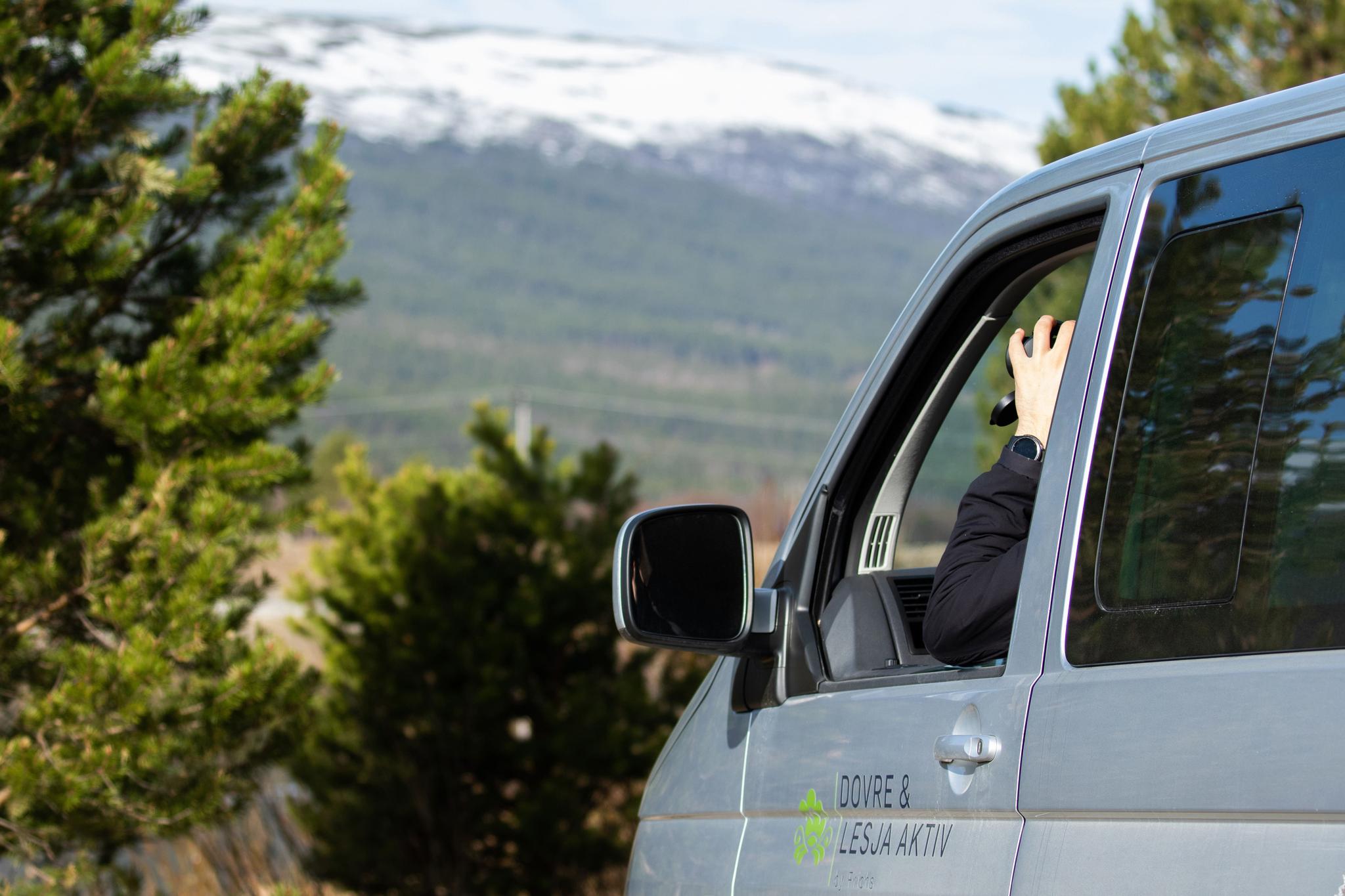 Birdwatching with Dovre og Lesja Aktiv