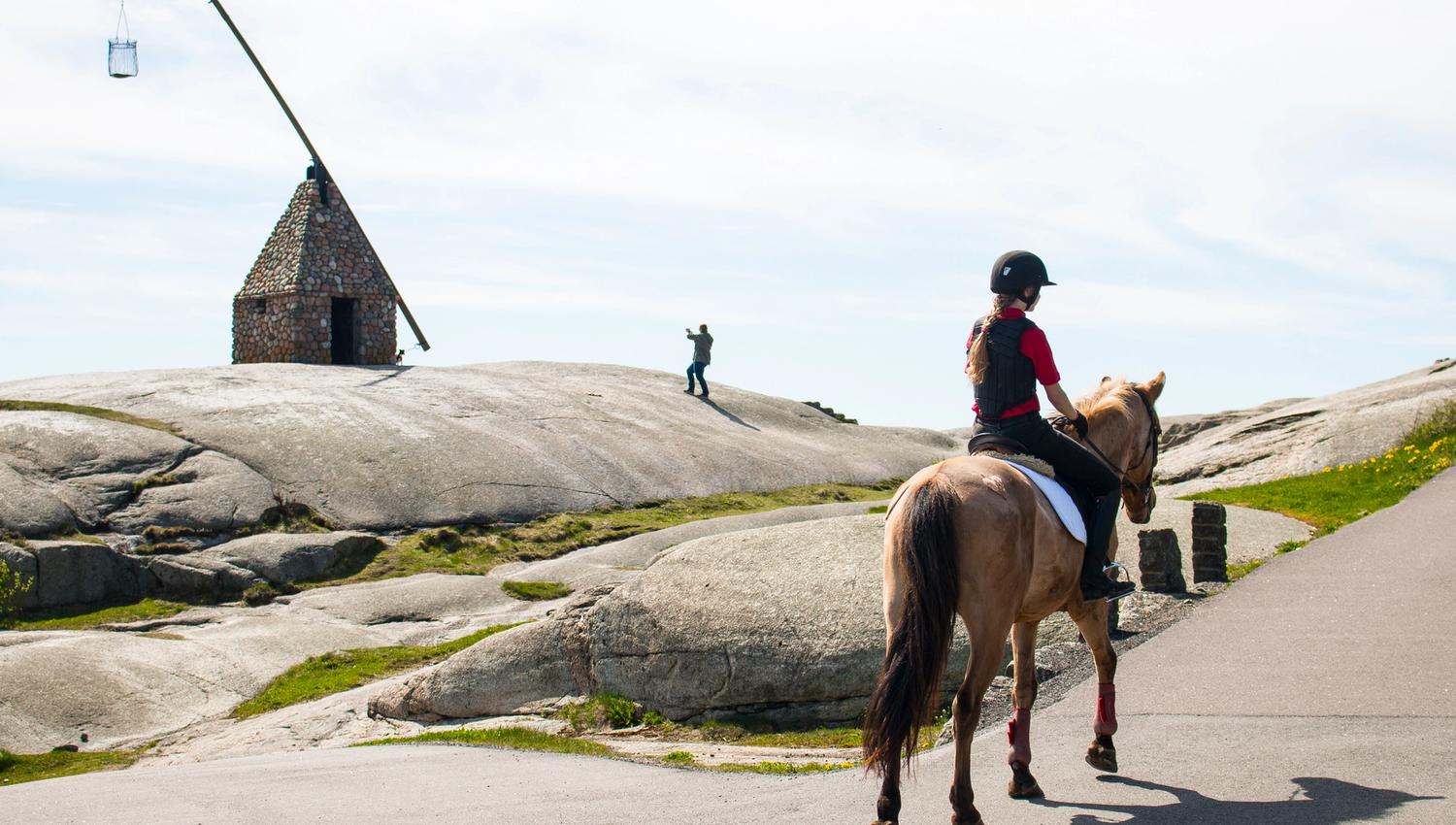 Ridetur ved Verdens Ende, en hest og rytter
