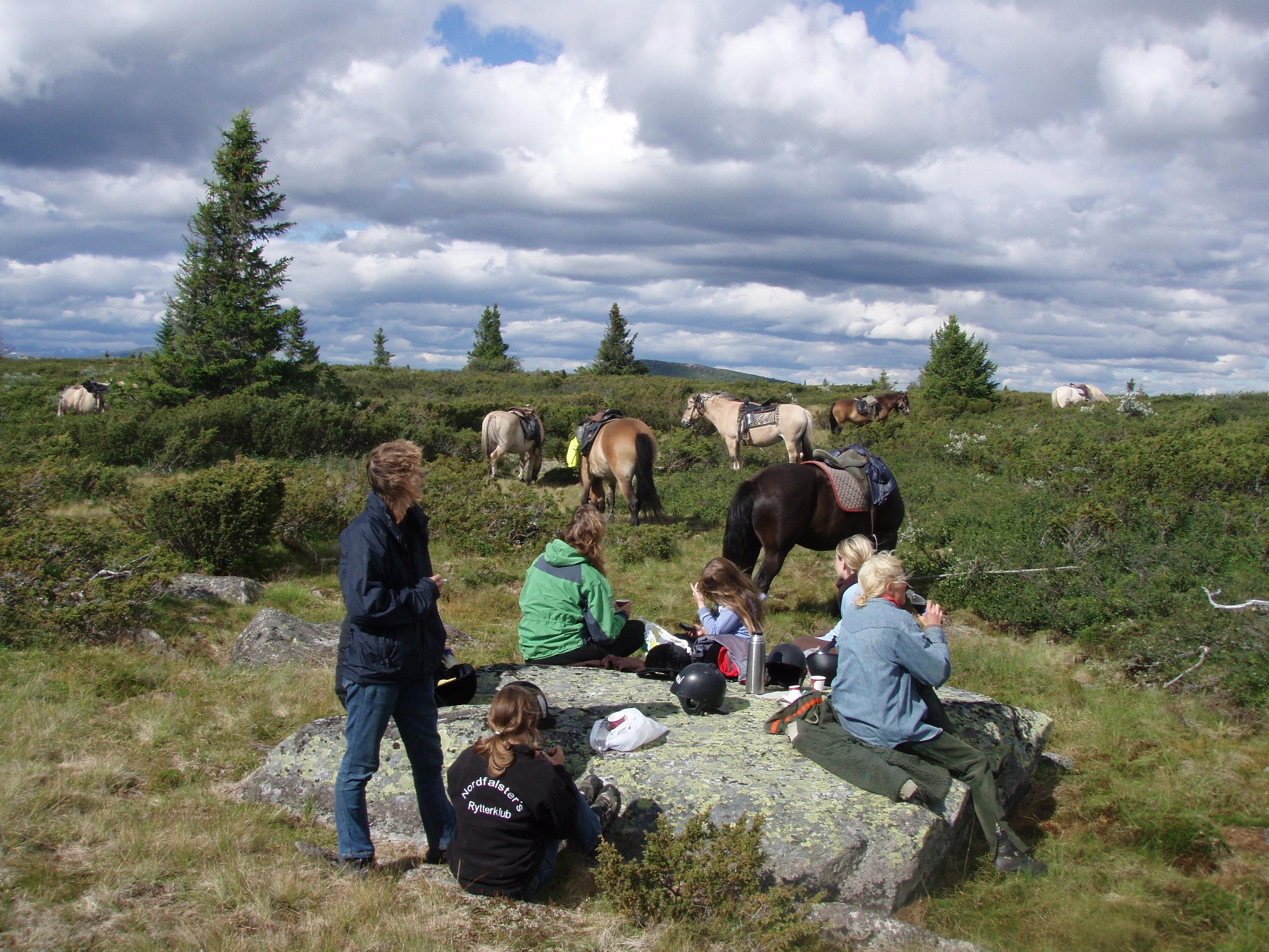 Storefjell Hestesenter, Golsfjellet, Norge